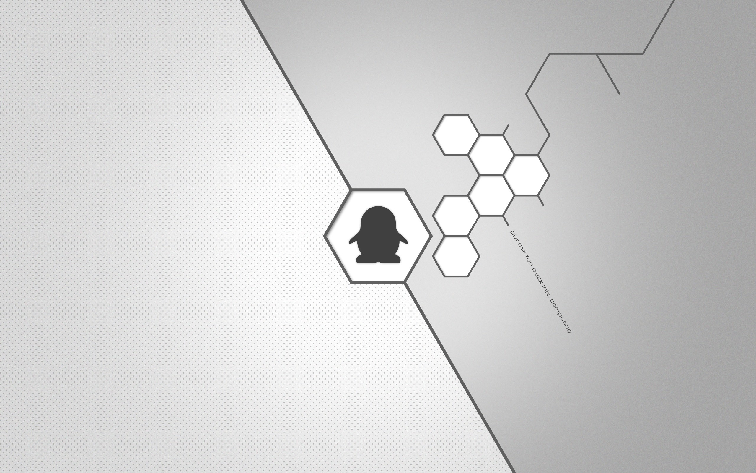 Tux, Linux, Esagoni, Minimalista, 2K 1600p, sfondo desktop