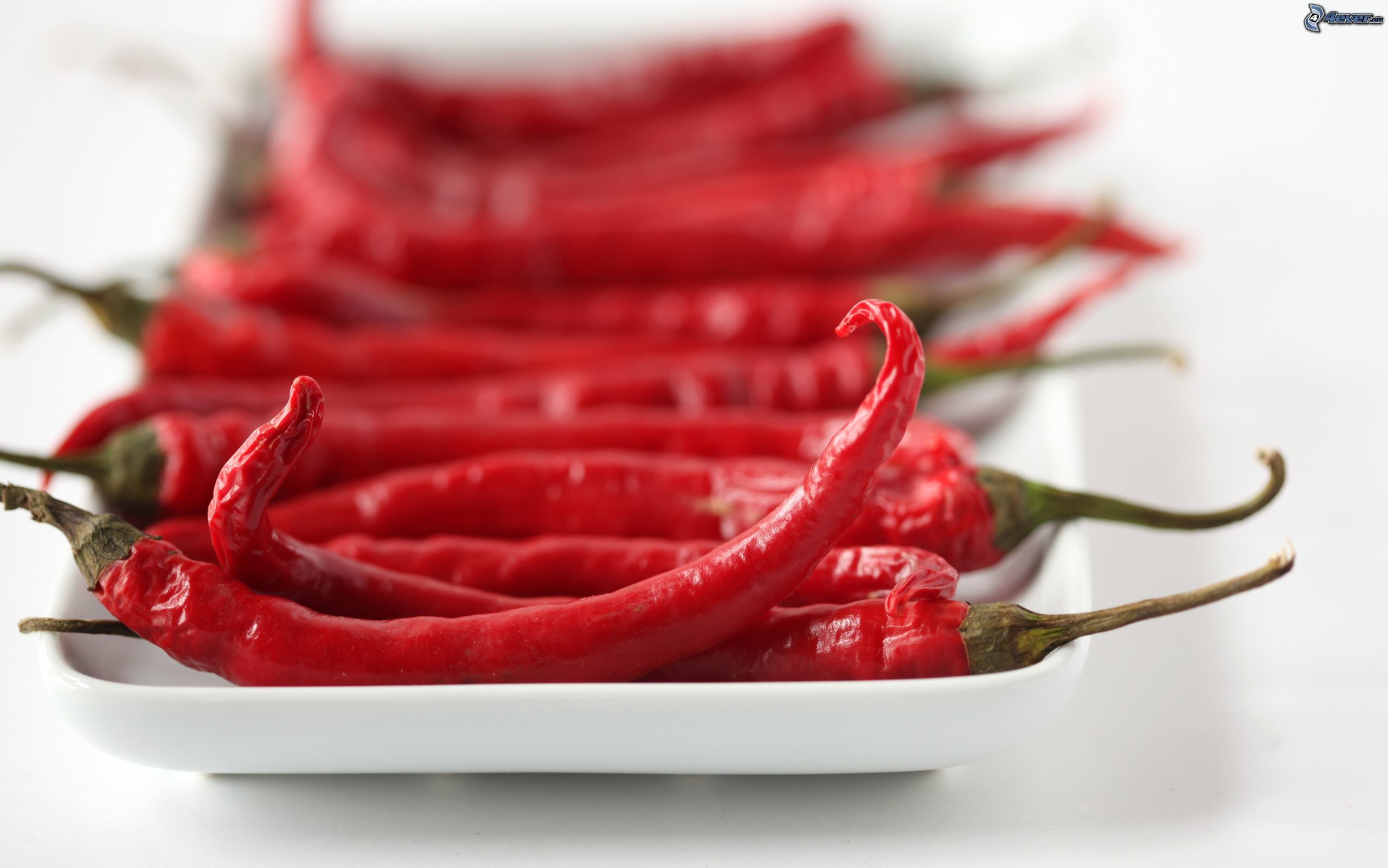 Peperoncini, Peperoncino rosso, Piatto, Cibo, 2560x1600, sfondo MacBook Pro