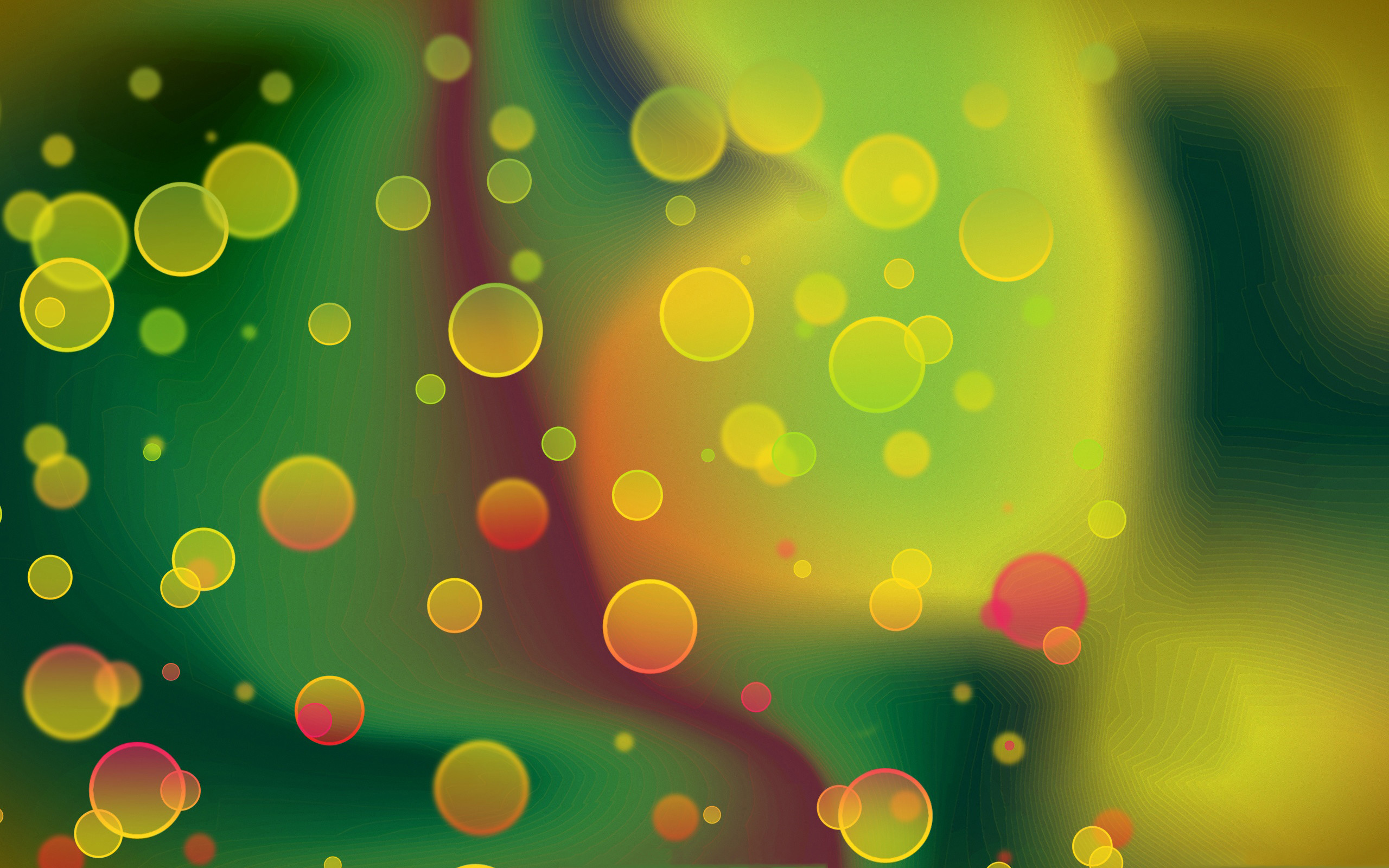 Bokeh, Cerchi colorati, Arte astratta, 2K, sfondo desktop