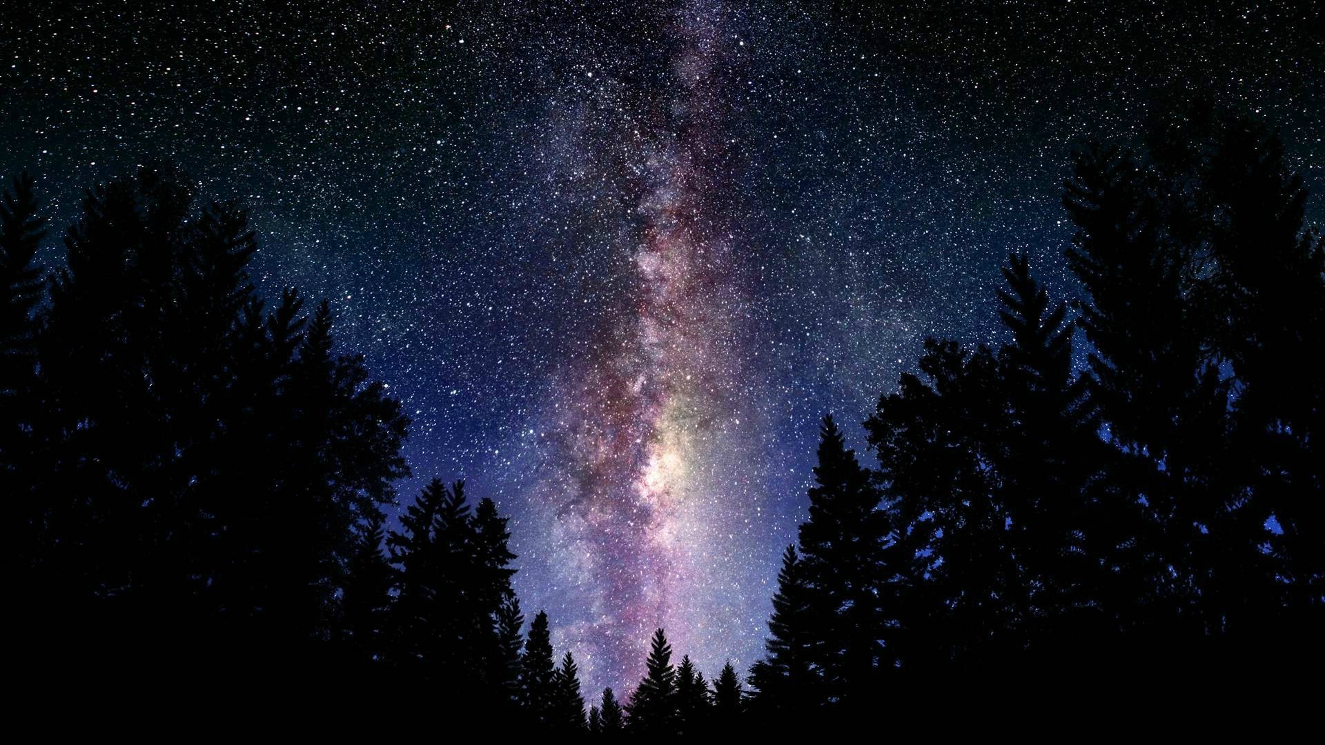 Via Lattea, Foresta, Abeti, Cielo stellato, Notte, Full HD 1080p, sfondo desktop
