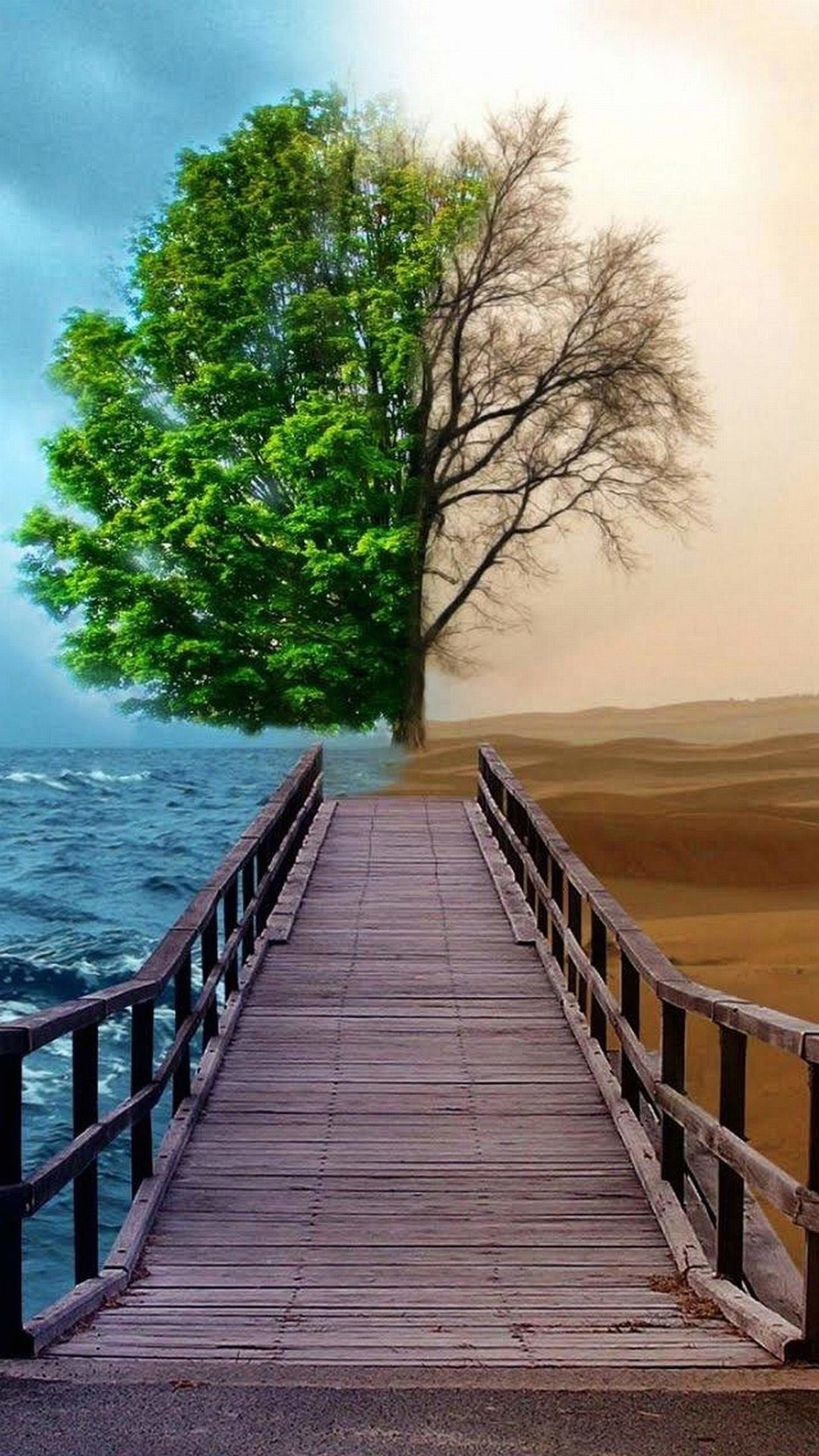 Albero, Pontile, Contrasto, Deserto, Mare, Surreale, sfondo LG G3 verticale