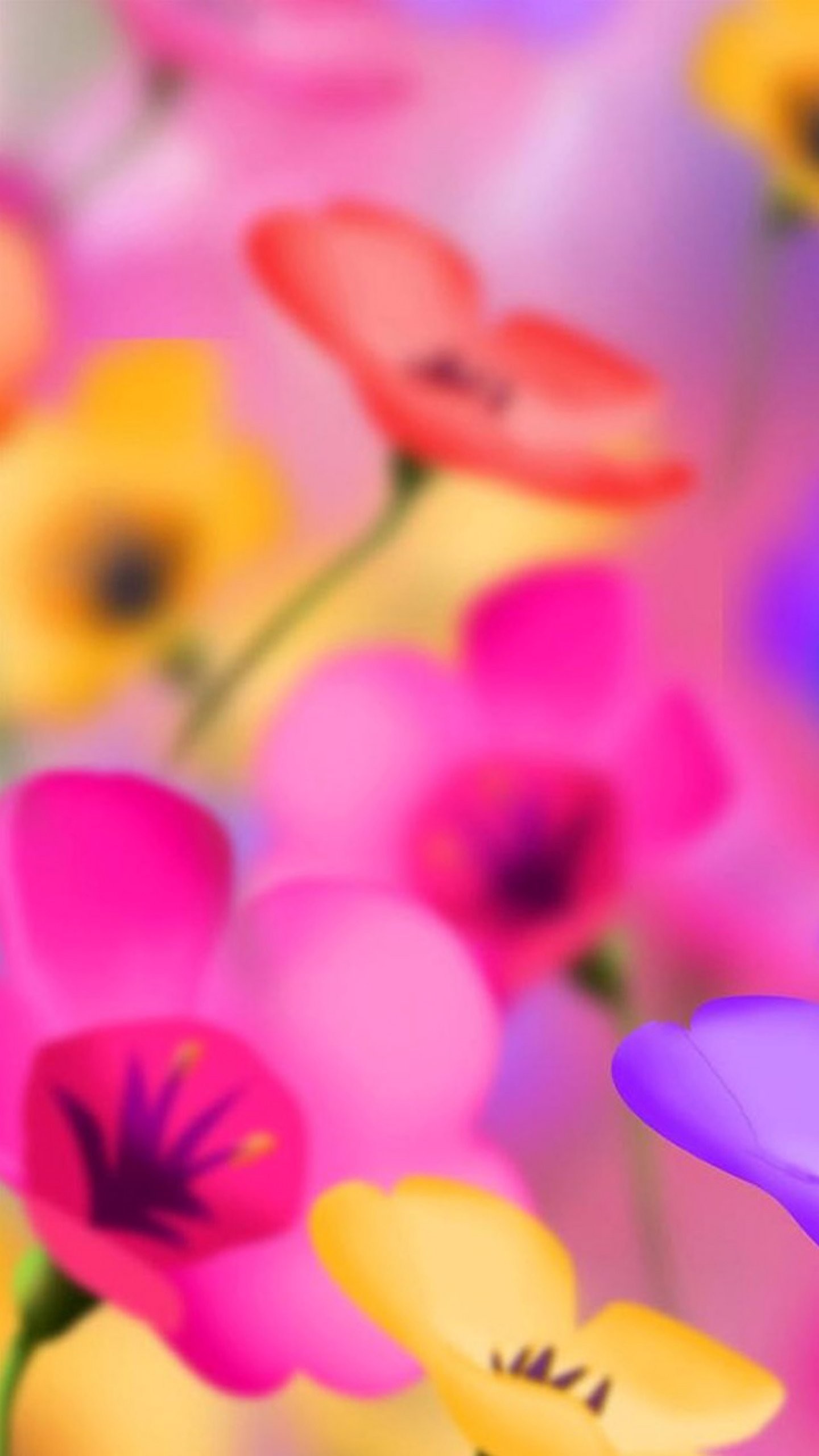 Fiori, Colorato, Rosa, Giallo, sfondo Samsung S6
