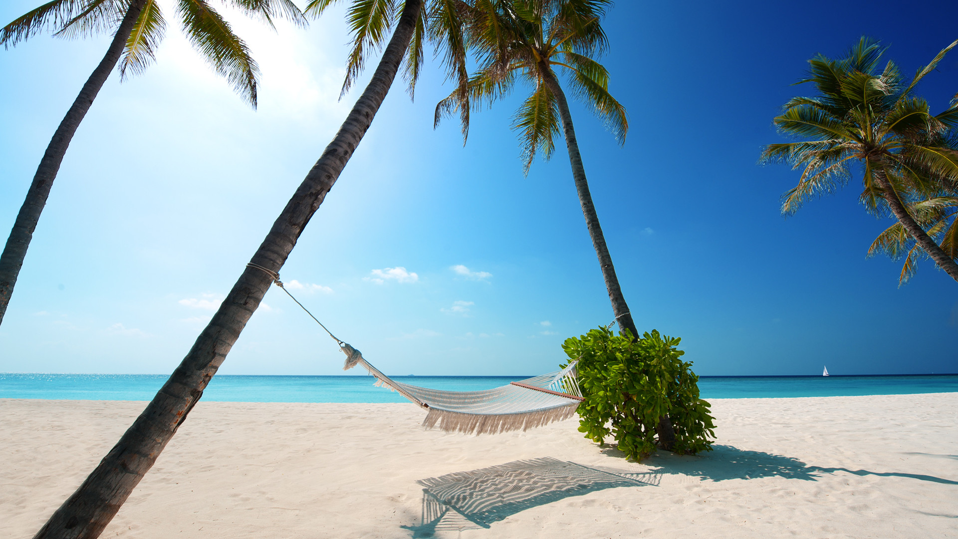 Maldive, Amaca, Palme, Spiaggia bianca, 16:9 Full HD, sfondo widescreen