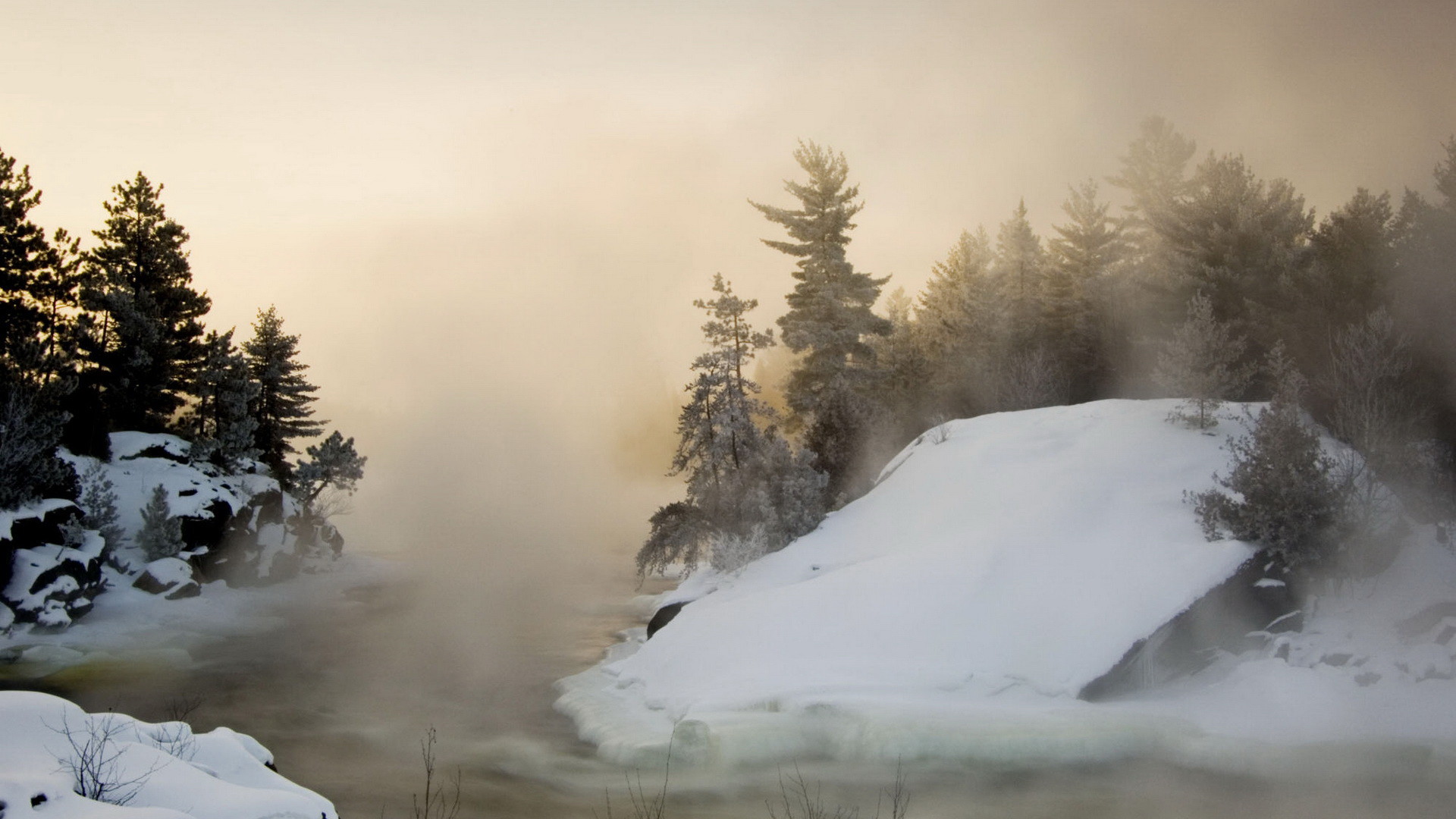 Nebbia, Rocce innevate, Abeti, Inverno, 16:9 Full HD, sfondo widescreen