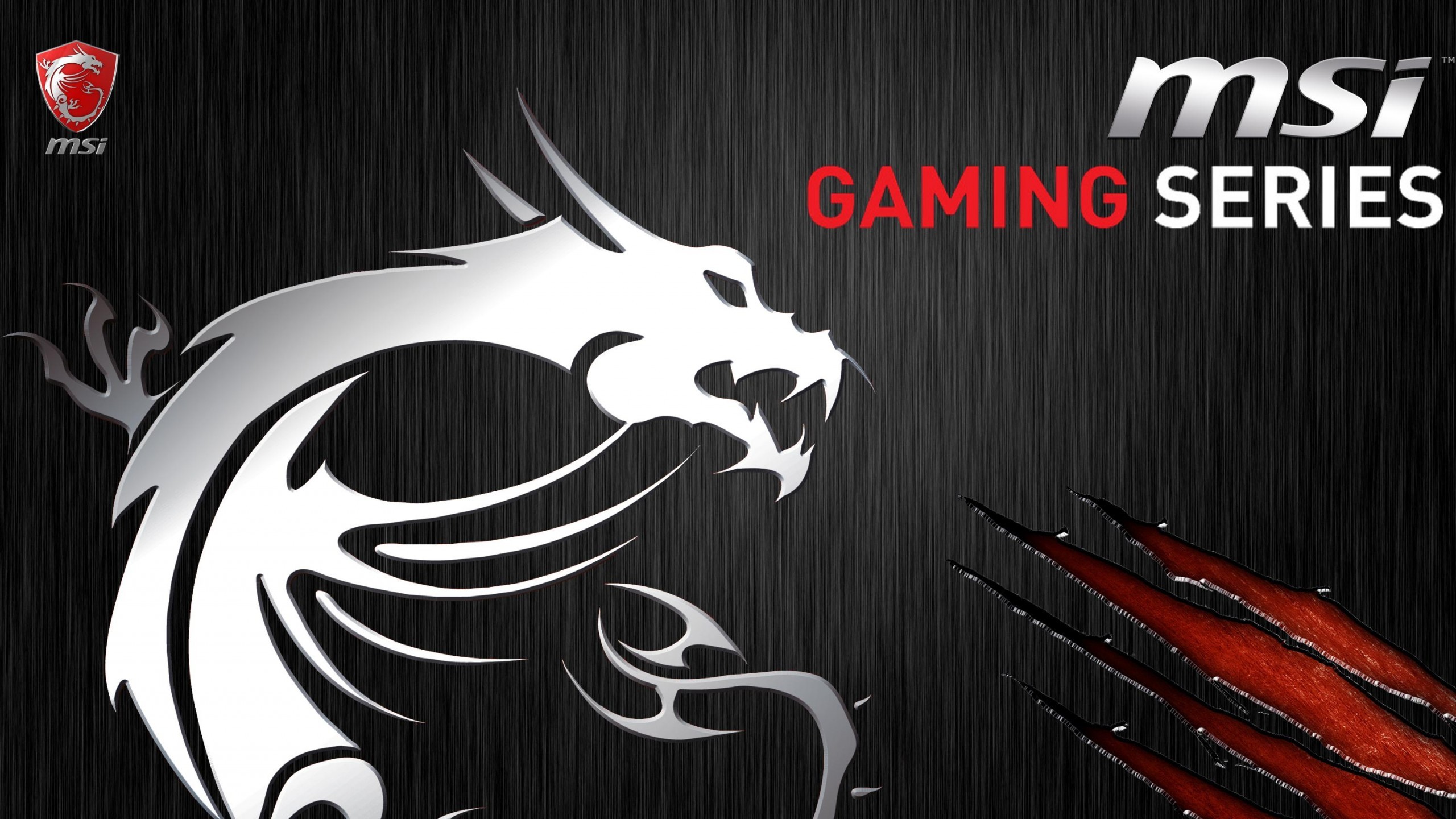 MSI, Gaming Series, Drago bianco, Graffi, Sfondo nero, 2560x1440, wallpaper desktop