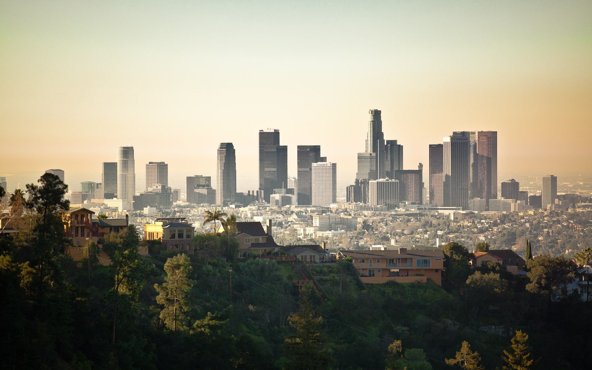 Downtown Los Angeles, Skyline, Alberi, Foschia, 16:10 Full HD, sfondo widescreen