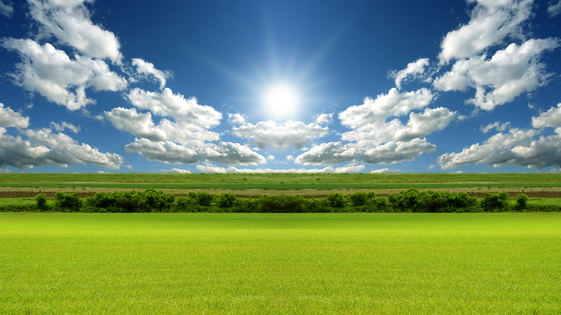 Sole, Cielo azzurro, Nuvole, Prato, Full HD, wallpaper per PC