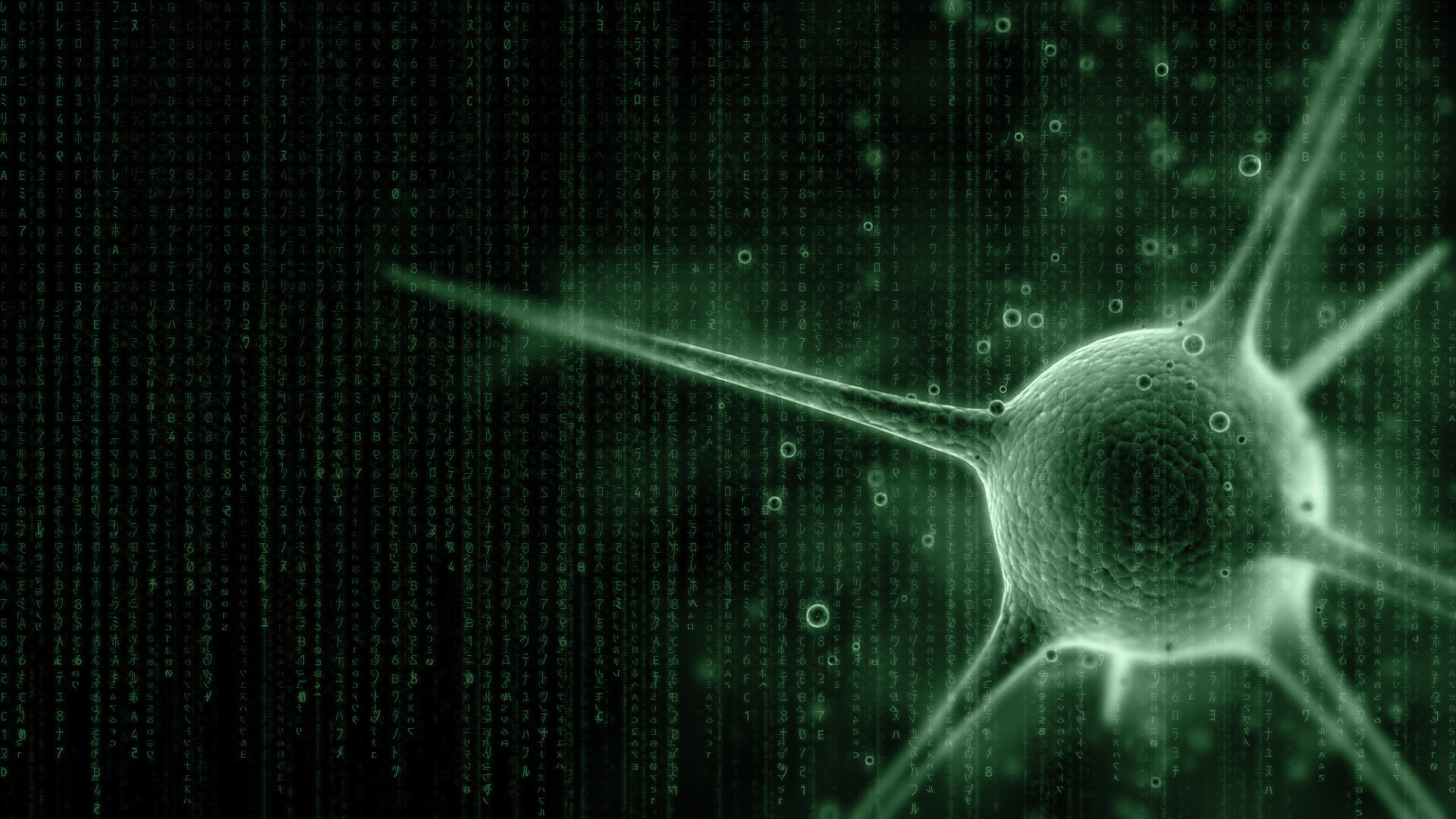 Matrix, Neurone, Codice digitale, Verde, Full HD, sfondo per PC e portatile