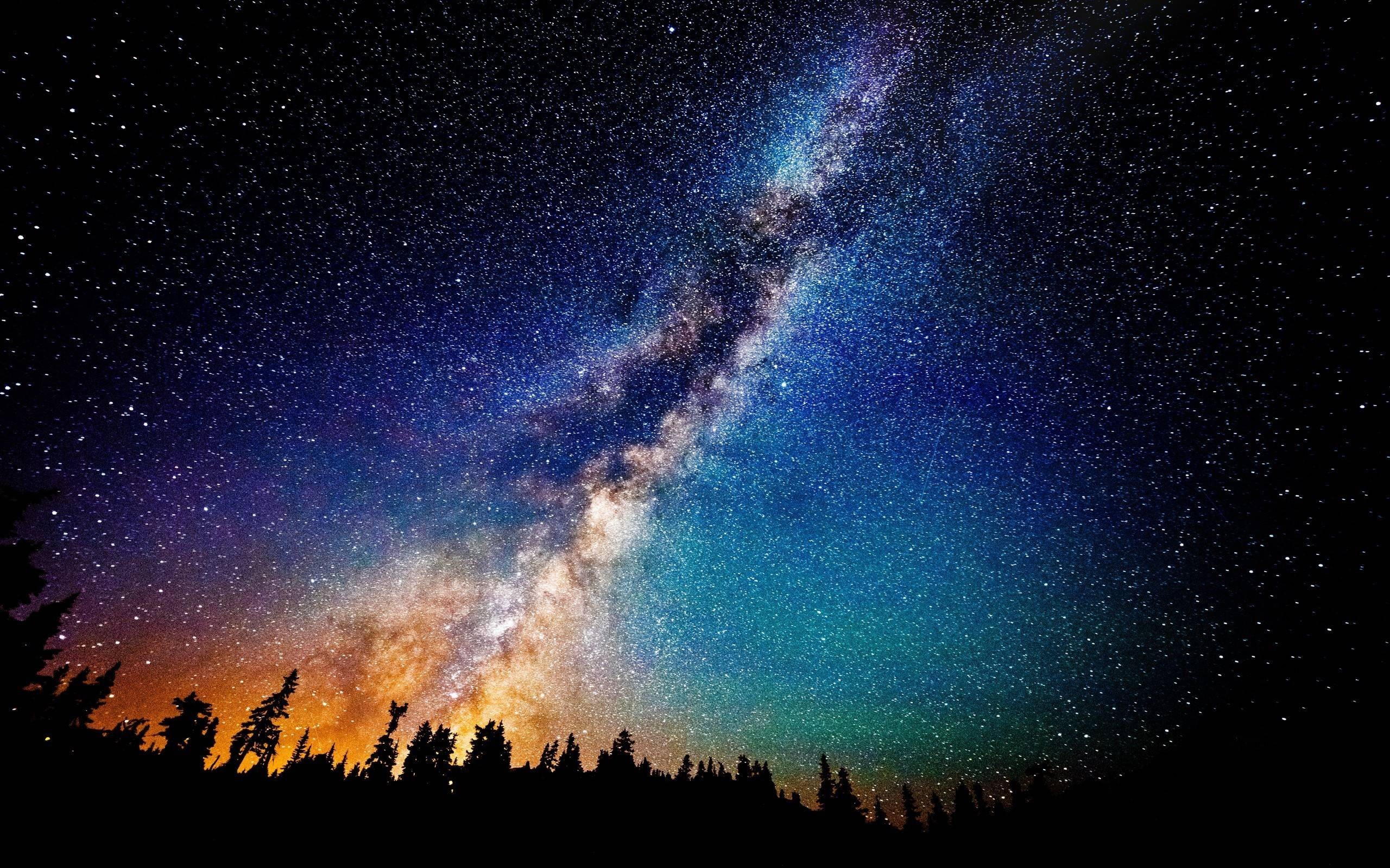 Via Lattea, Cielo stellato, Alberi, Notte, 2K, wallpaper desktop
