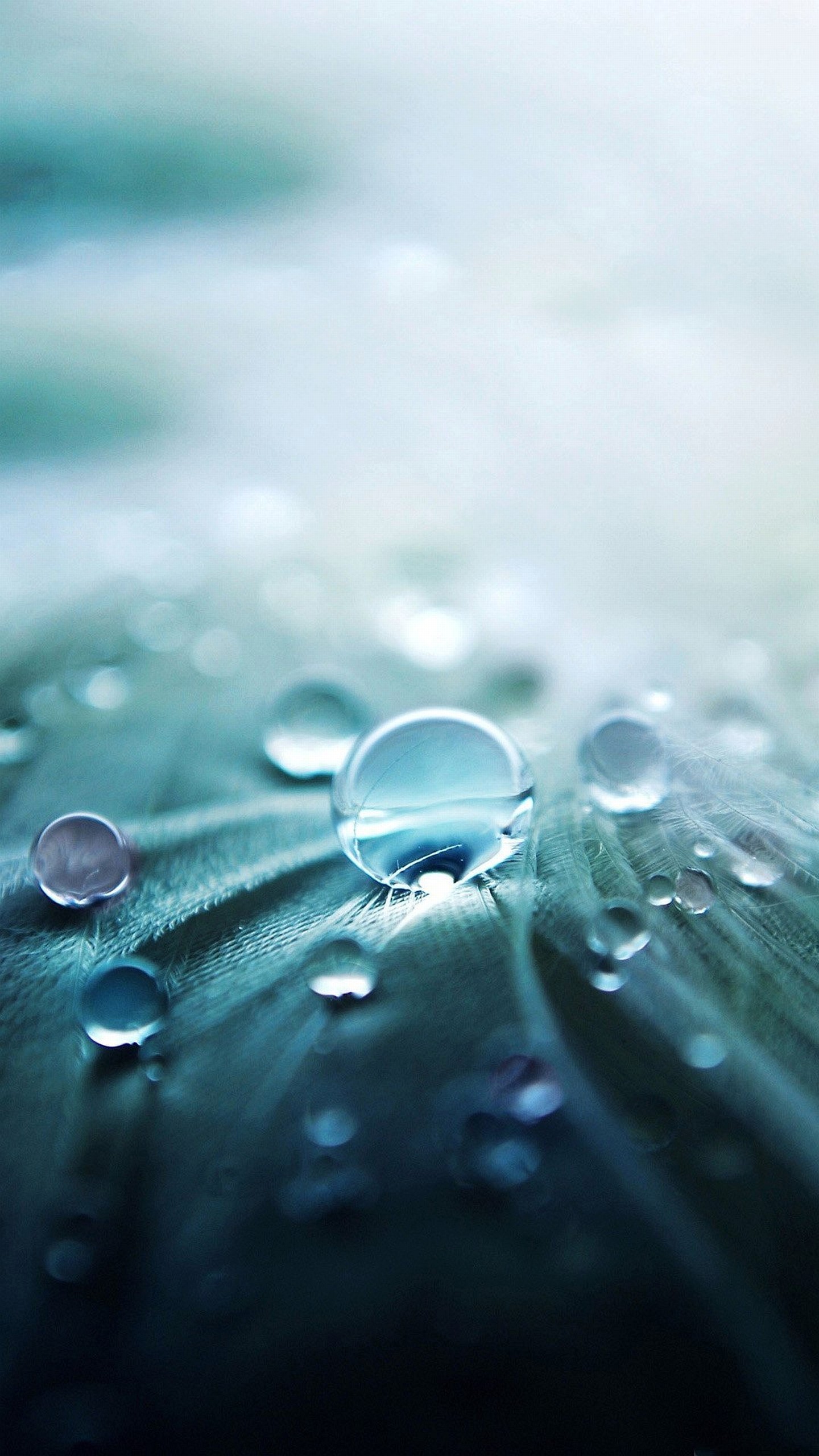 Gocce d'acqua, Macro, Verde acqua, schermata Home Samsung Galaxy S6