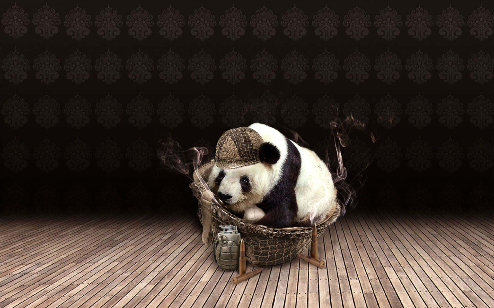 Cucciolo di panda, Cesta, Parquet, 1920x1200, immagine di sfondo