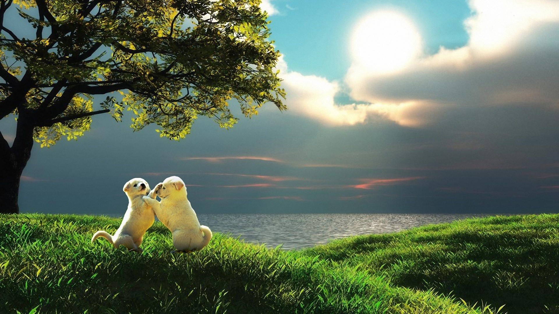 Cuccioli di foca, Albero, Mare, Arte digitale, 16:9 Full HD, sfondo widescreen