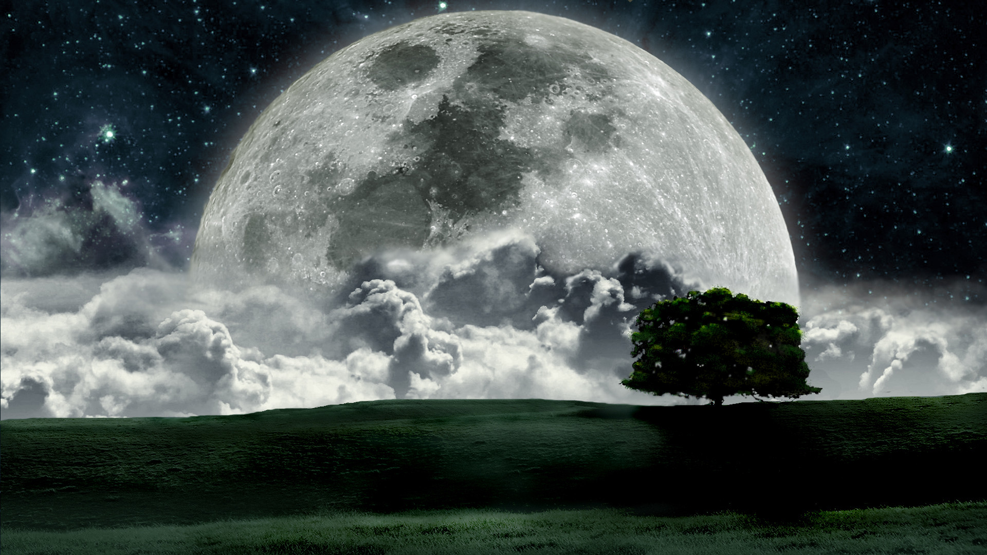 Luna piena, Albero, Nuvole, 1920x1080, sfondo per PC