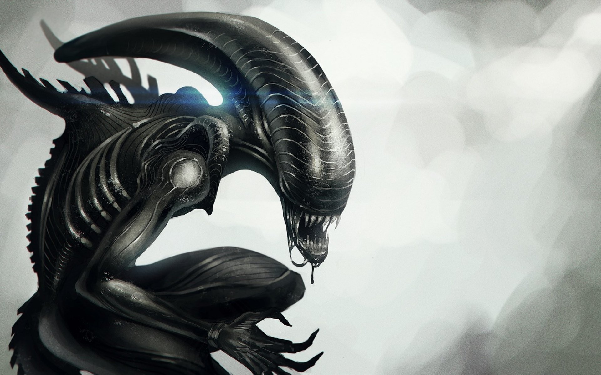 Xenomorfo, Alien, Sfondo bianco, 1920x1200, wallpaper desktop