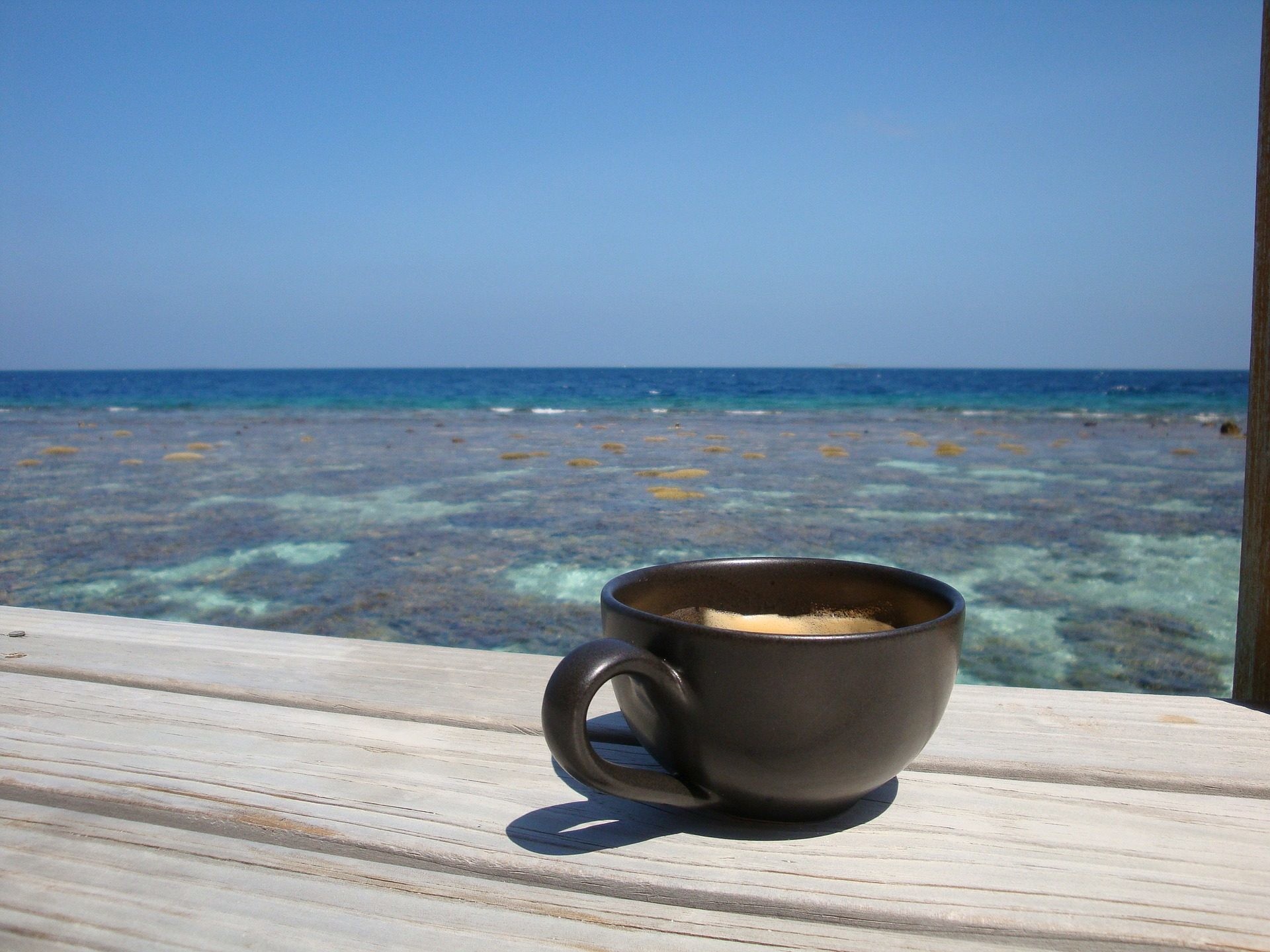Maldive, Tazza di caffè, Barriera corallina, Mare, Full HD, sfondo per iPad e tablet