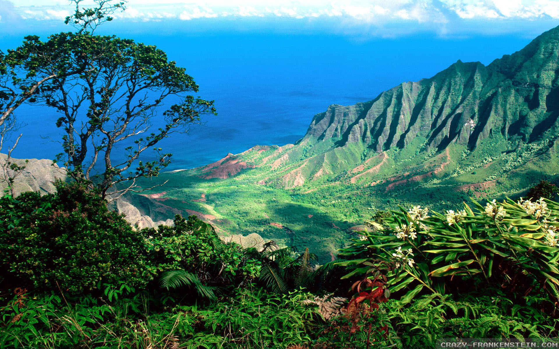 Valle di Kalalau, Na Pali Coast, Kauai, Hawaii, Panorama, 1920x1200, immagine di sfondo