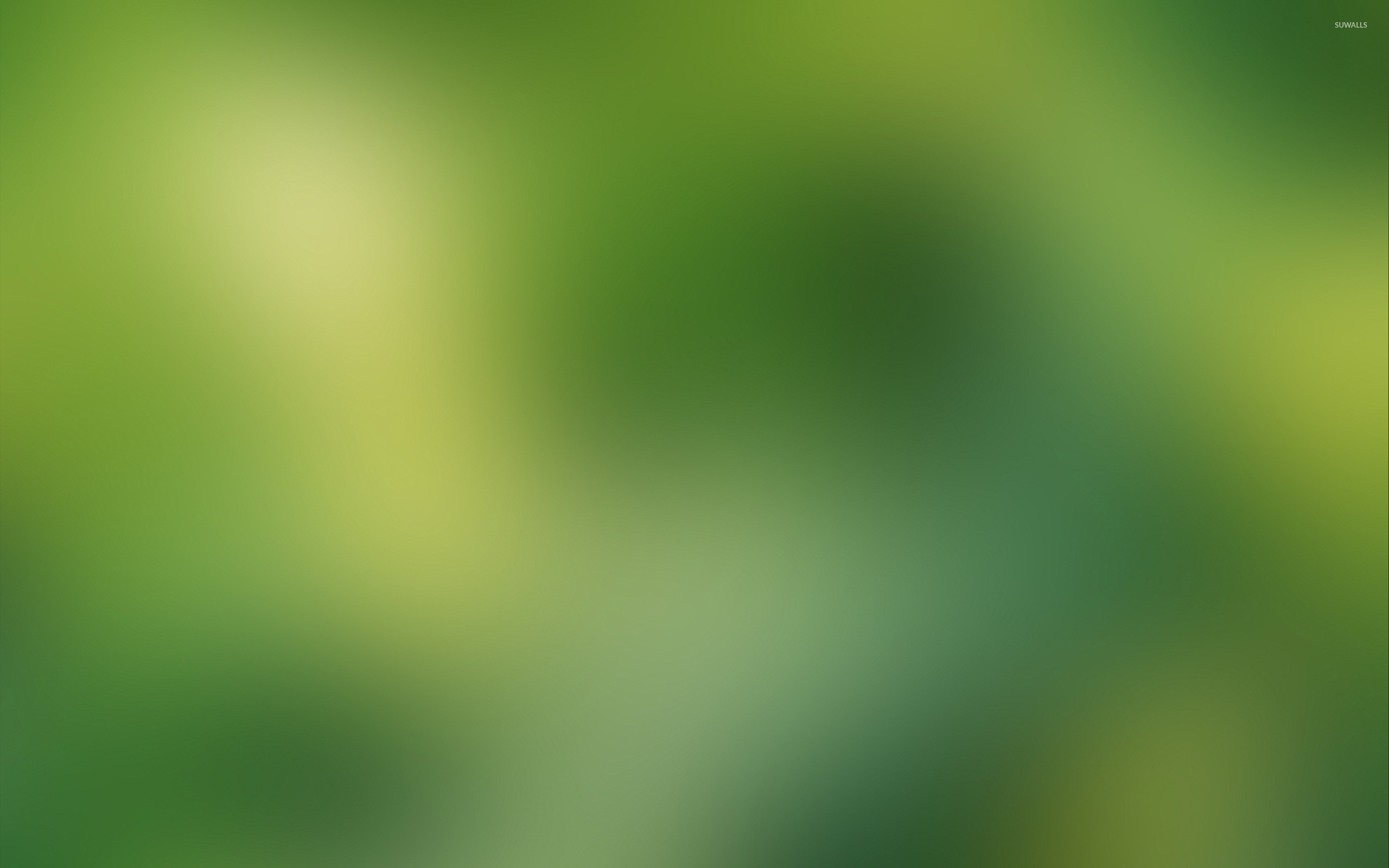 Sfocatura, Verde, Natura, Bokeh, 2560x1600, sfondo per PC