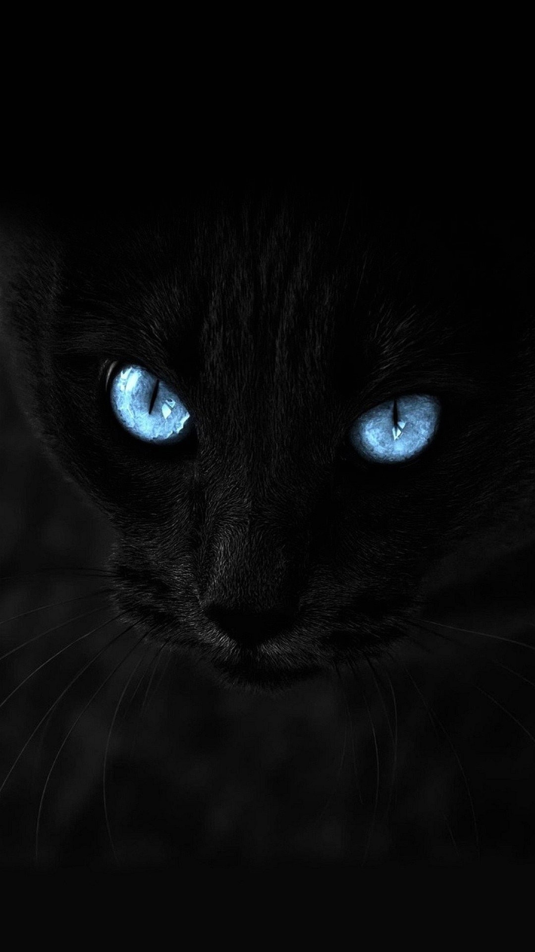 Gatto nero, Occhi azzurri, Sfondo nero, wallpaper iPhone 7