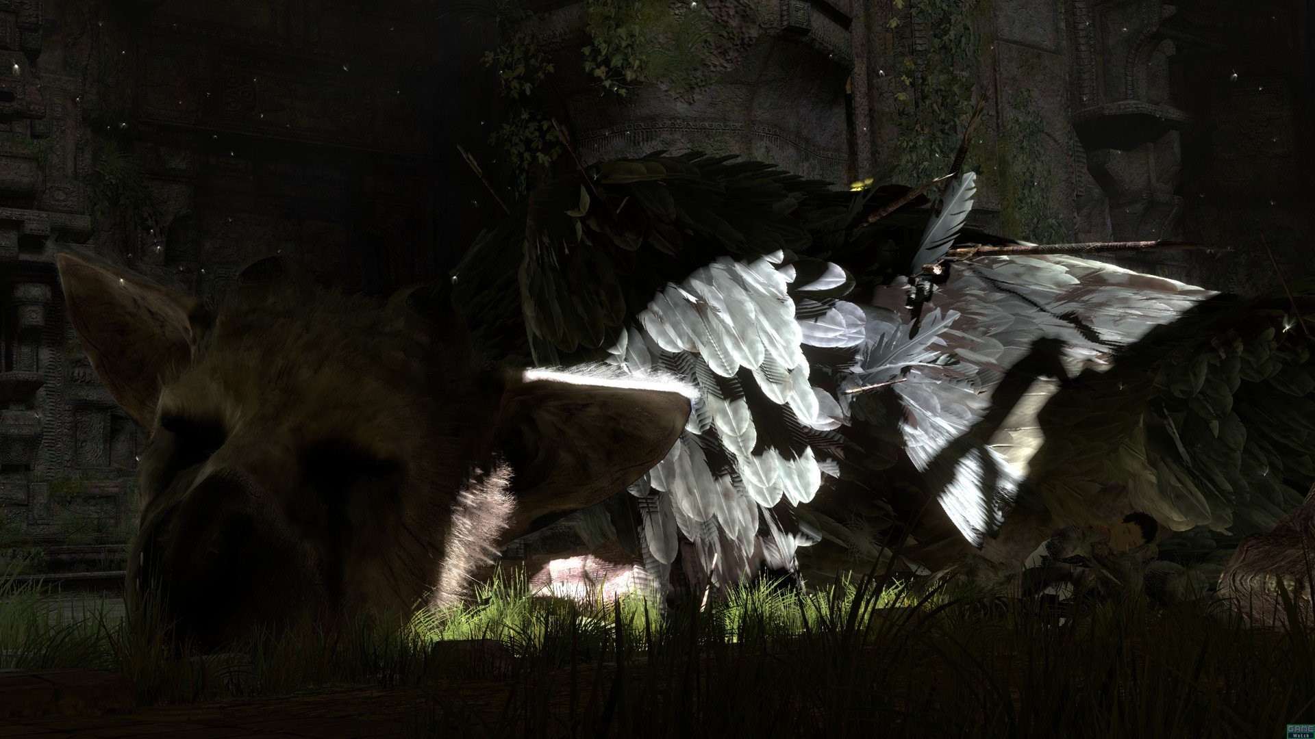 Trico, The Last Guardian, Piume, Sfondo scuro, 1920x1080, wallpaper desktop