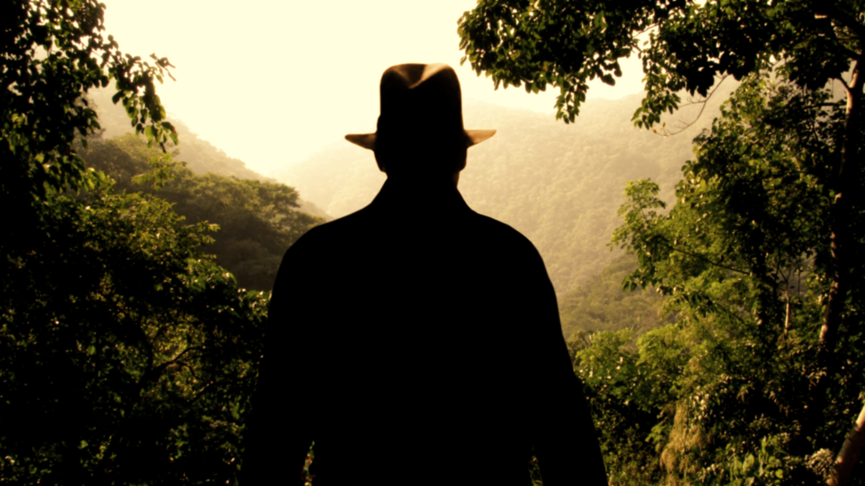 Indiana Jones, Silhouette, Giungla, Valle, 2K, sfondo per PC
