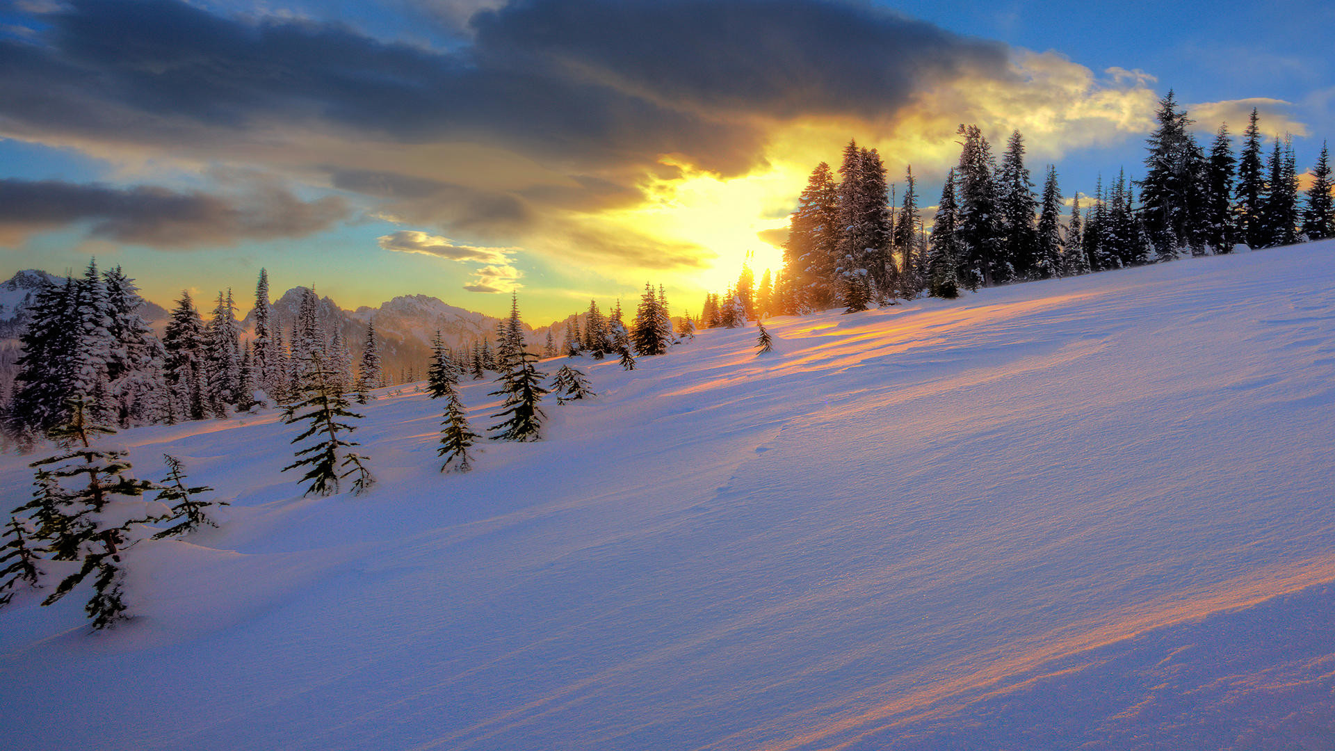 Pendio innevato, Tramonto, Abeti, Nuvole, Full HD, wallpaper desktop