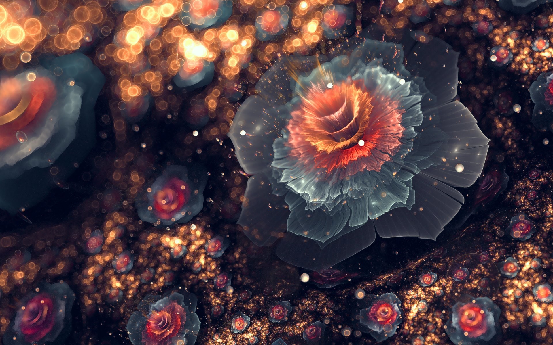 Frattale, Fiore, Bokeh, 16:10 Full HD, sfondo widescreen