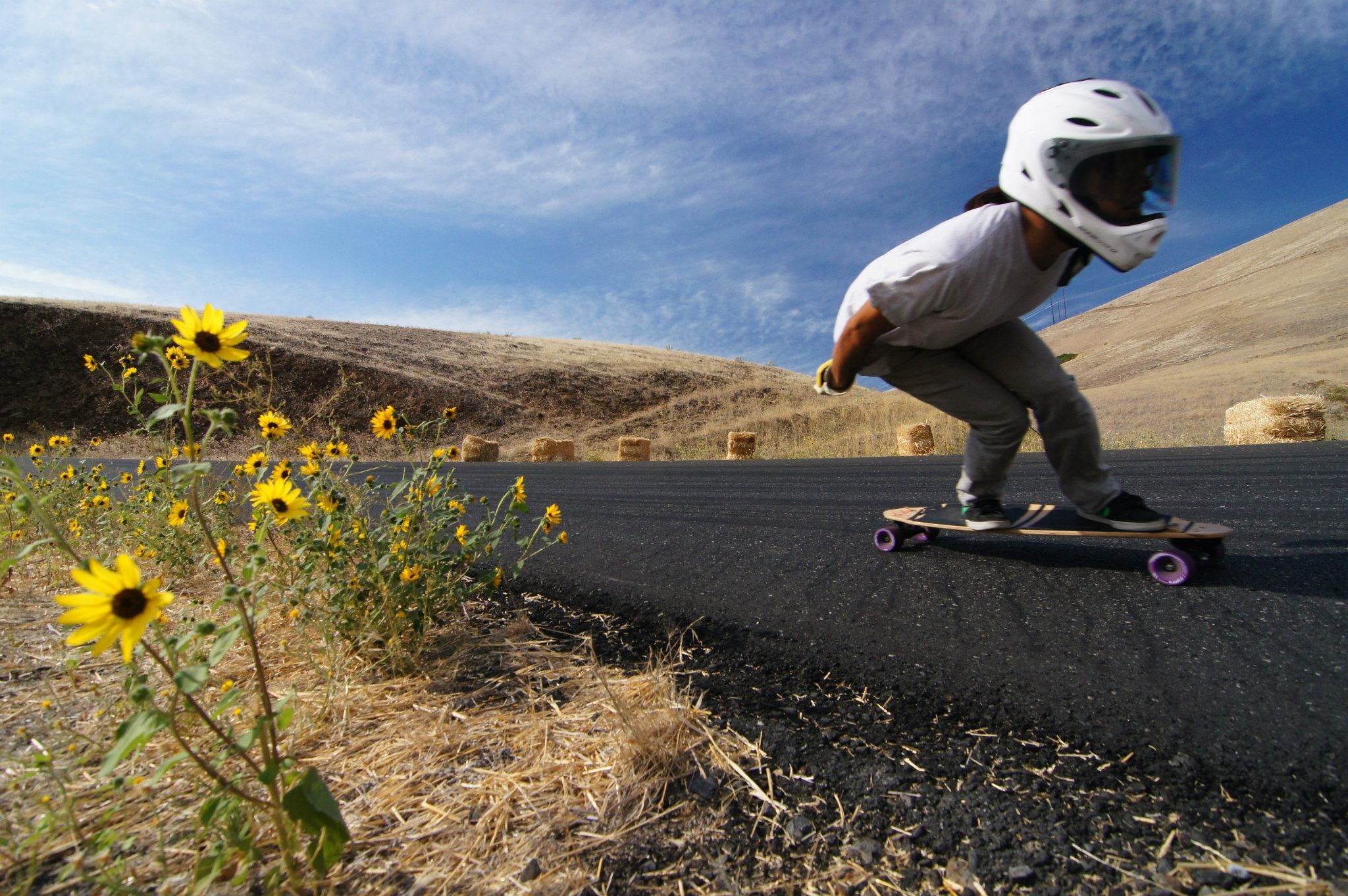 Longboard, Downhill, Girasoli, Casco, Full HD, sfondo desktop