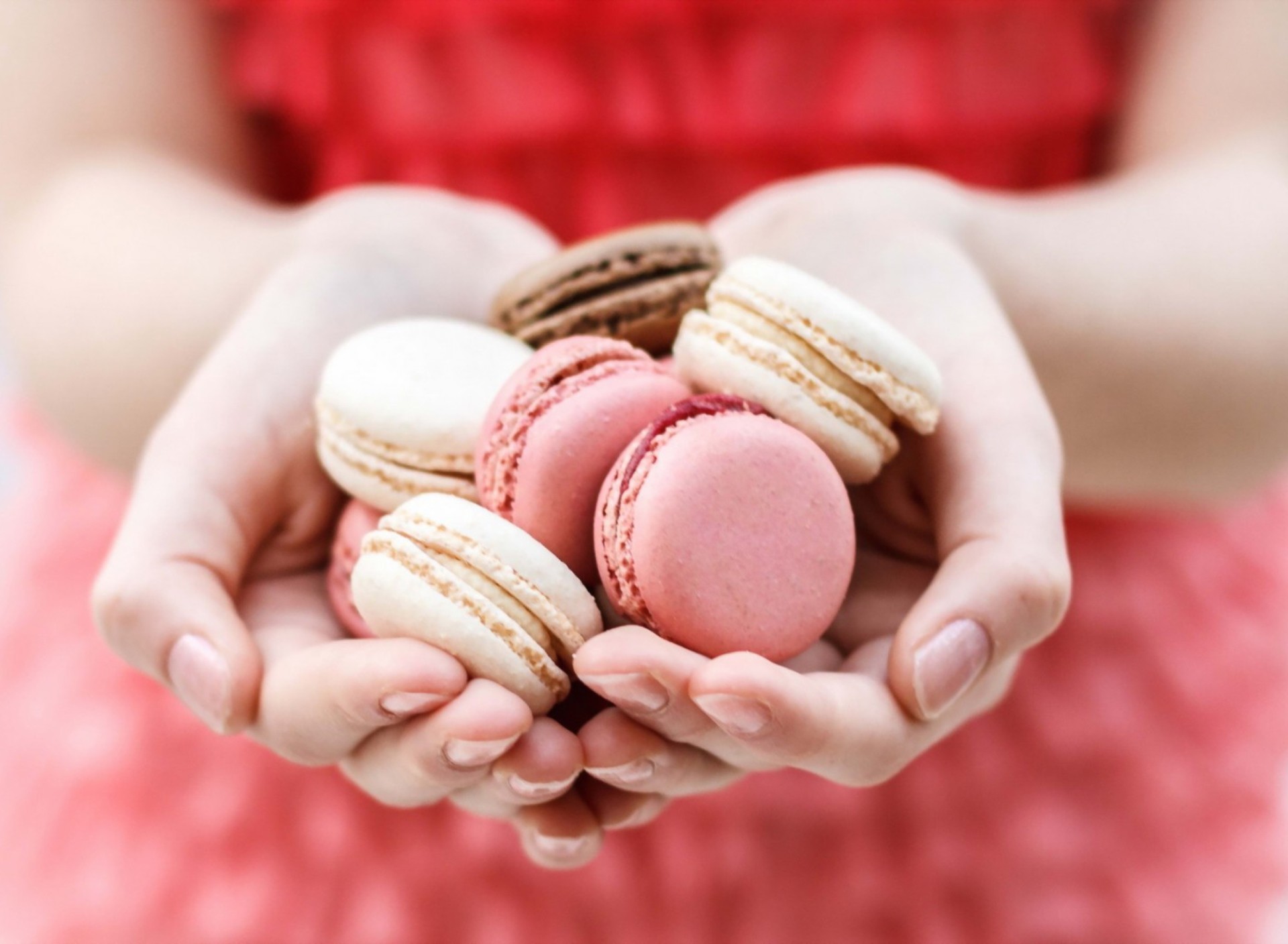 Macarons, Mani, Rosa, Pastello, Full HD, sfondo per PC e portatile