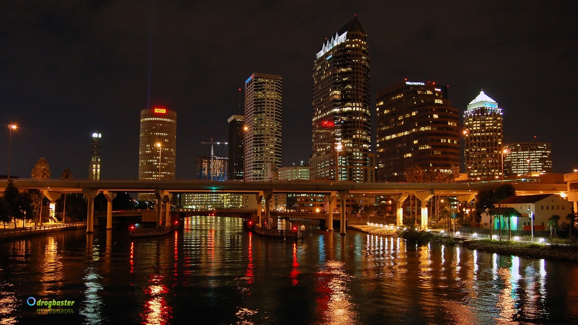 Tampa, Florida, Skyline, Riflesso, Notte, Full HD 1080p, sfondo desktop