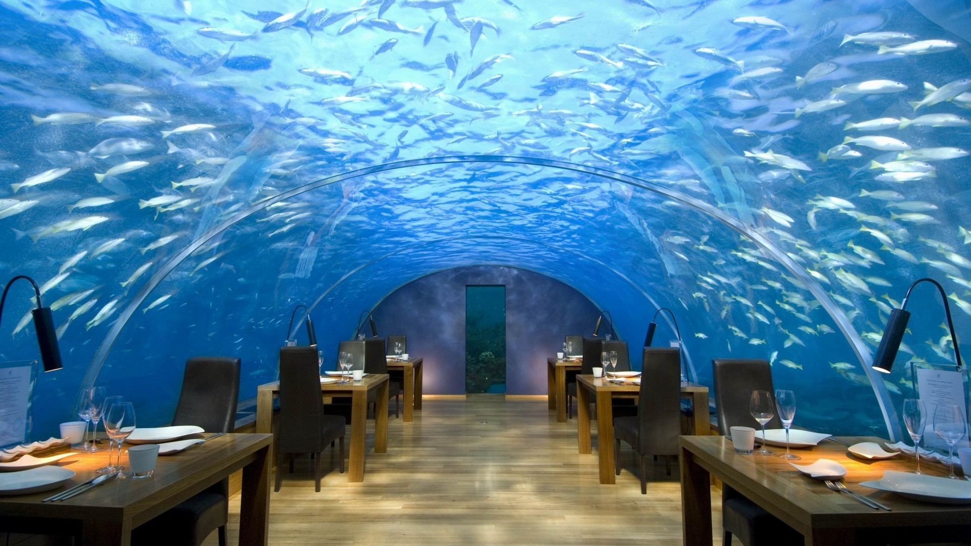 Ithaa, Ristorante sottomarino, Conrad Maldives, Pesci, 16:9 Full HD, sfondo widescreen