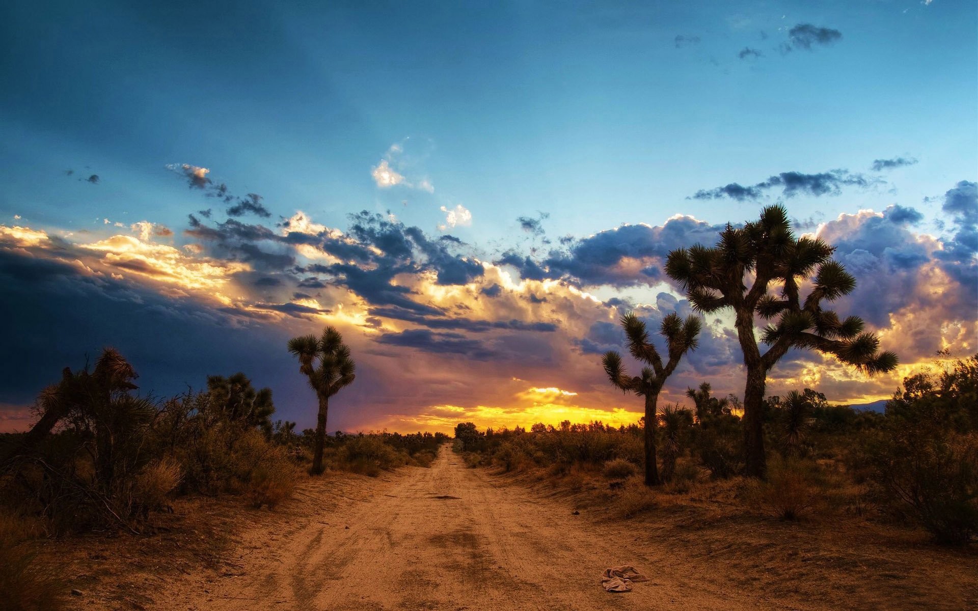 Joshua Tree, Alberi di Joshua, Strada sterrata, Tramonto, 1920x1200, sfondo per PC