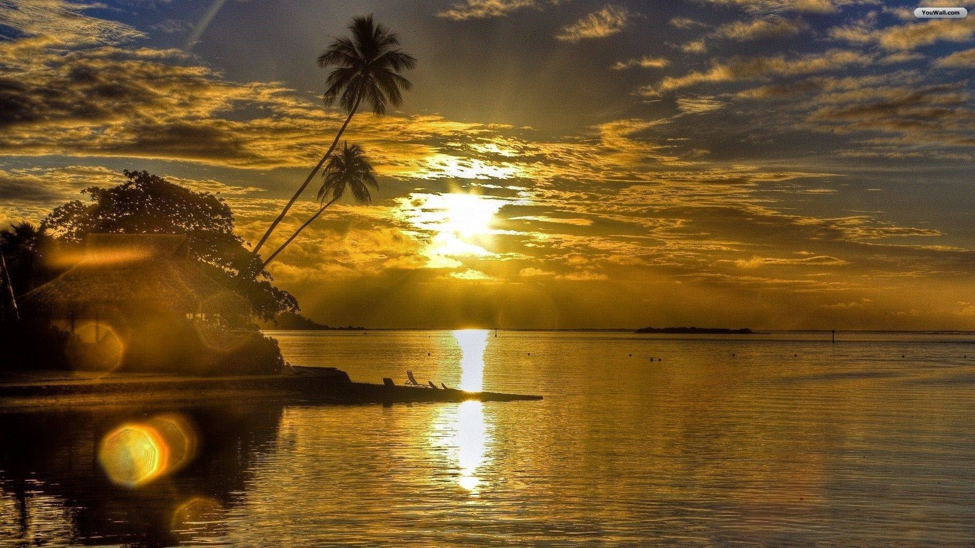 Tramonto, Palme, Mare, Luce dorata, Full HD, sfondo per PC e portatile
