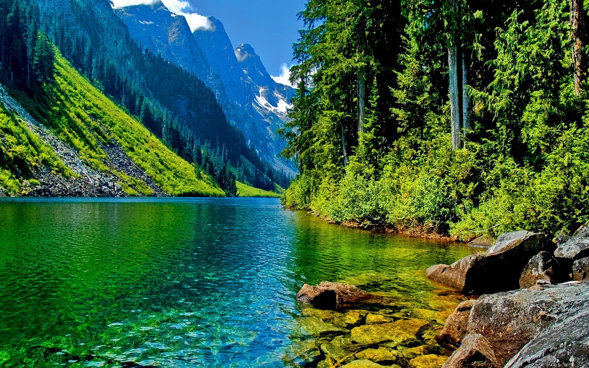 Lago, Montagne, Foresta, Acqua verde, Full HD, sfondo per PC