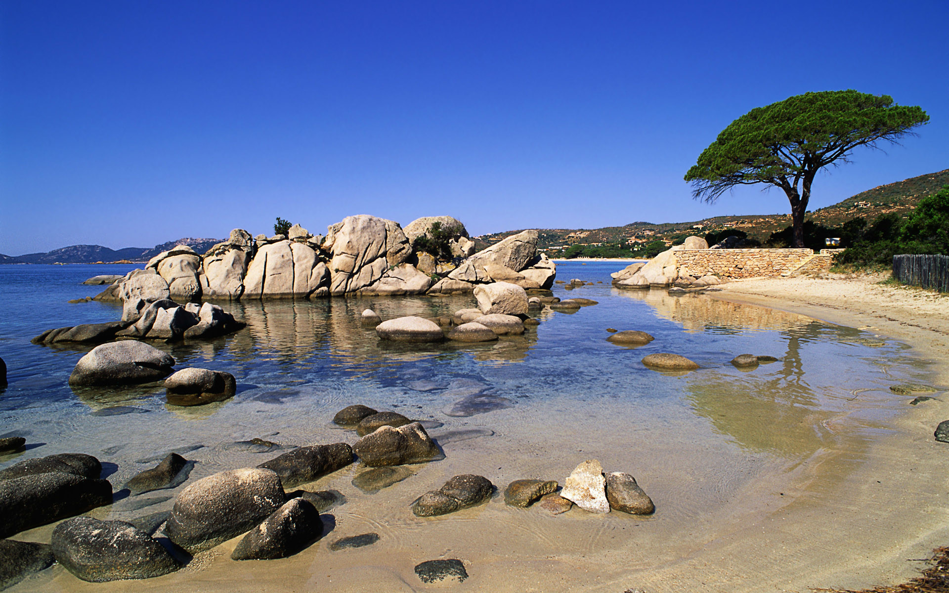 Spiaggia, Scogli, Albero, Mare, sfondo per Windows Vista