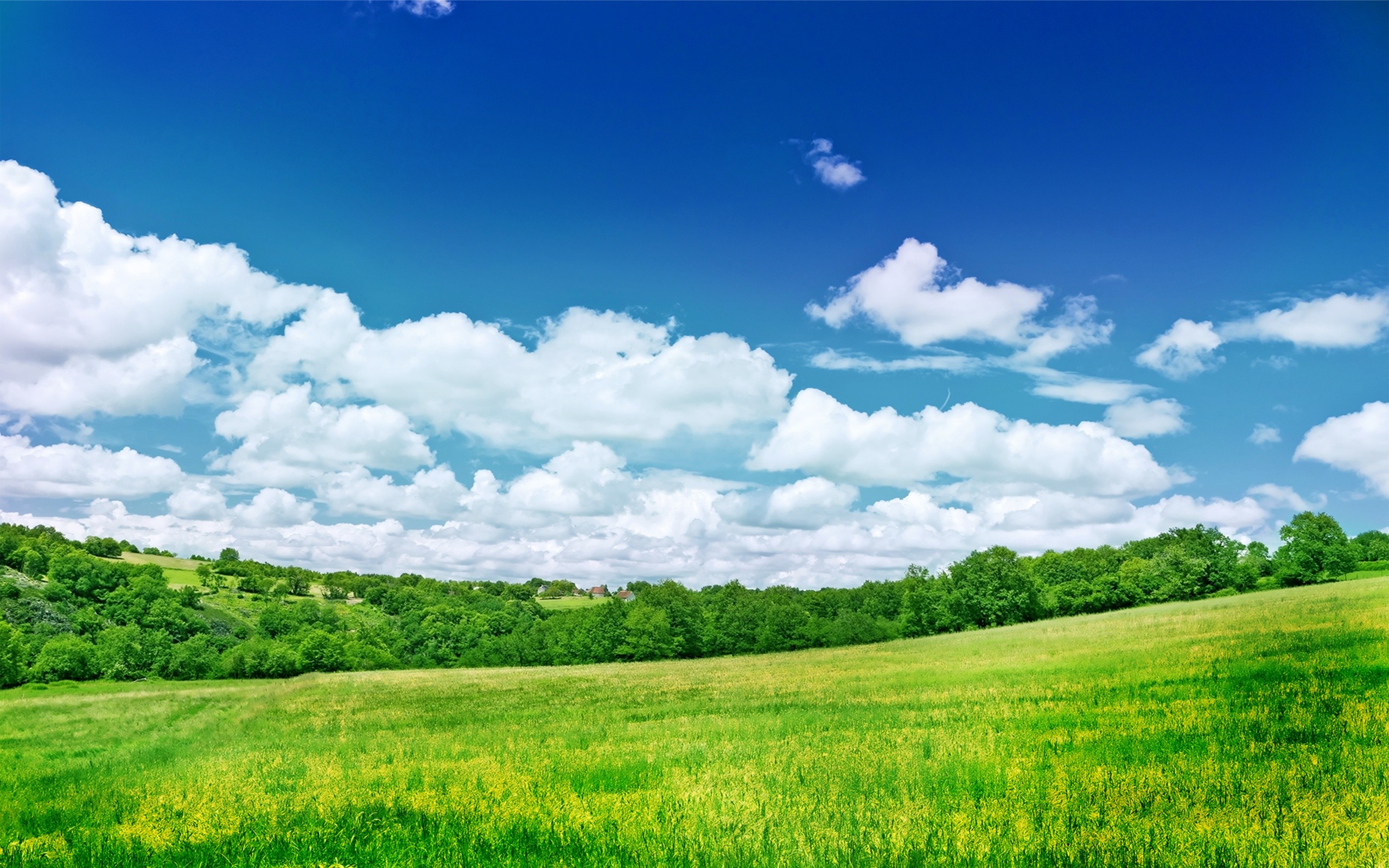 Prato, Cielo azzurro, Nuvole, Colline, 2560x1600, sfondo MacBook Pro
