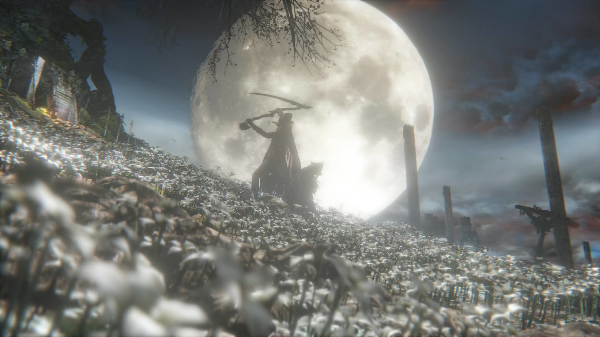 Bloodborne, Sogno del Cacciatore, Luna piena, Campo di fiori, 16:9 Full HD, sfondo widescreen