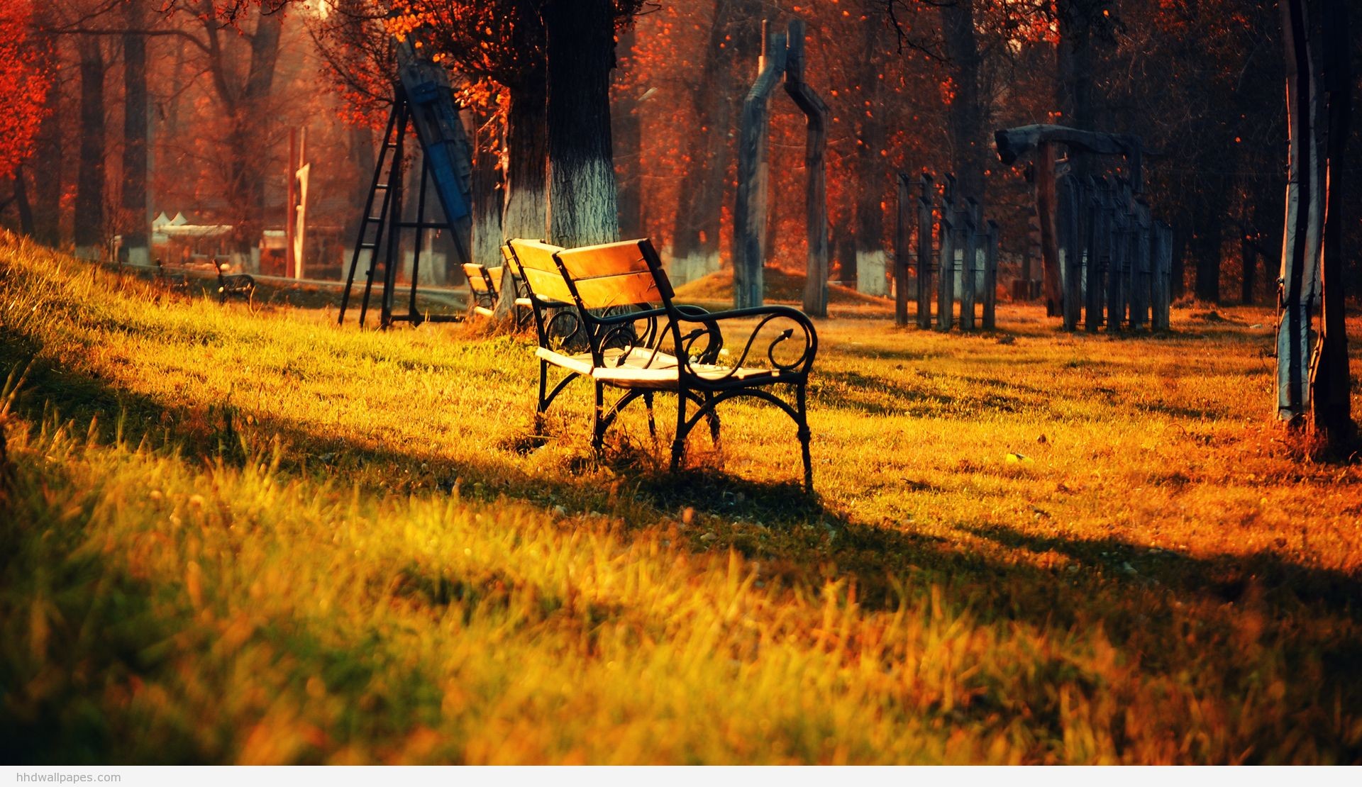 Panchina, Parco, Autunno, Luce dorata, Full HD, sfondo per portatile