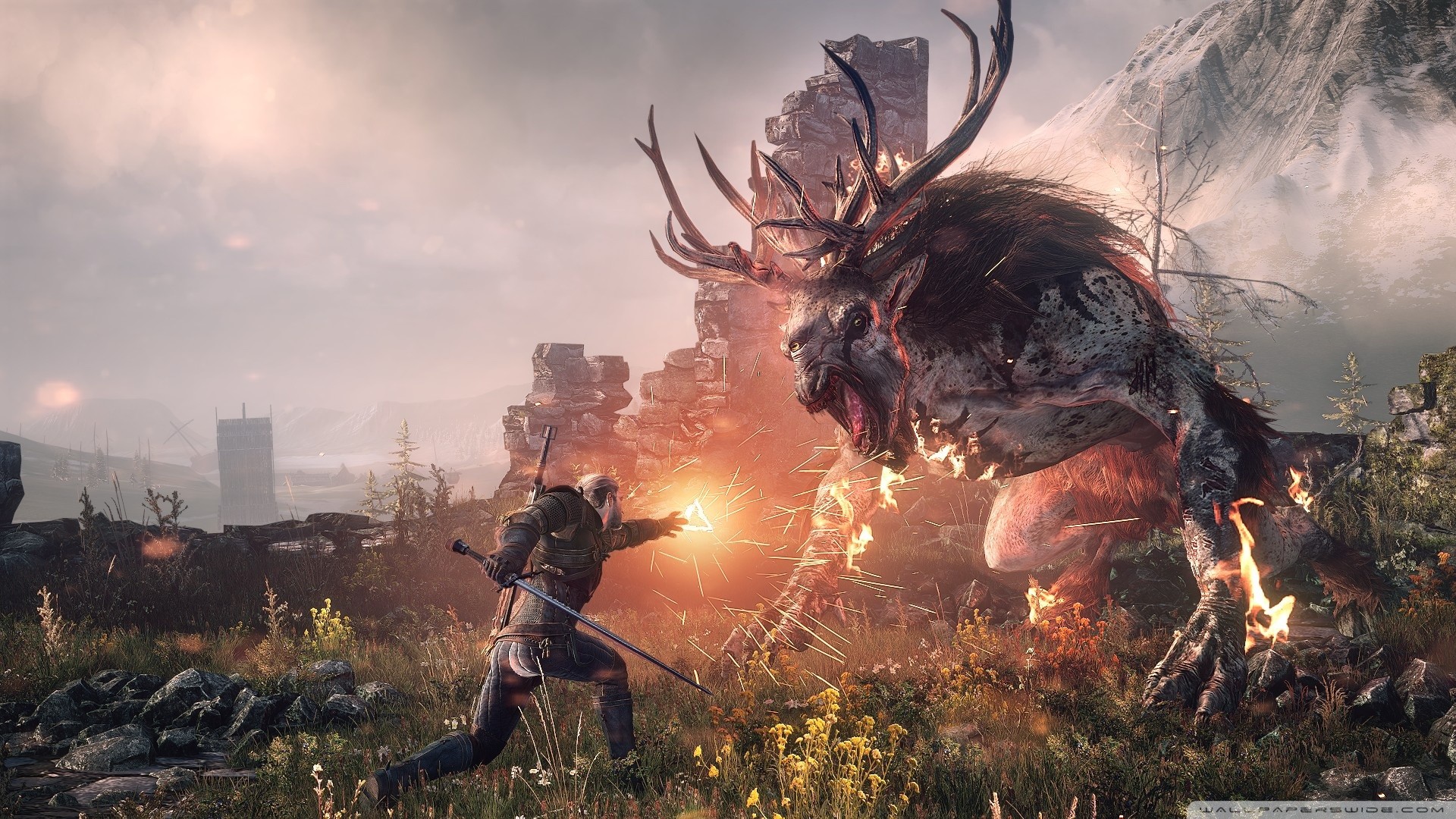 Geralt di Rivia, Leshen, The Witcher 3: Wild Hunt, Combattimento, Rovine, sfondo Full HD per computer