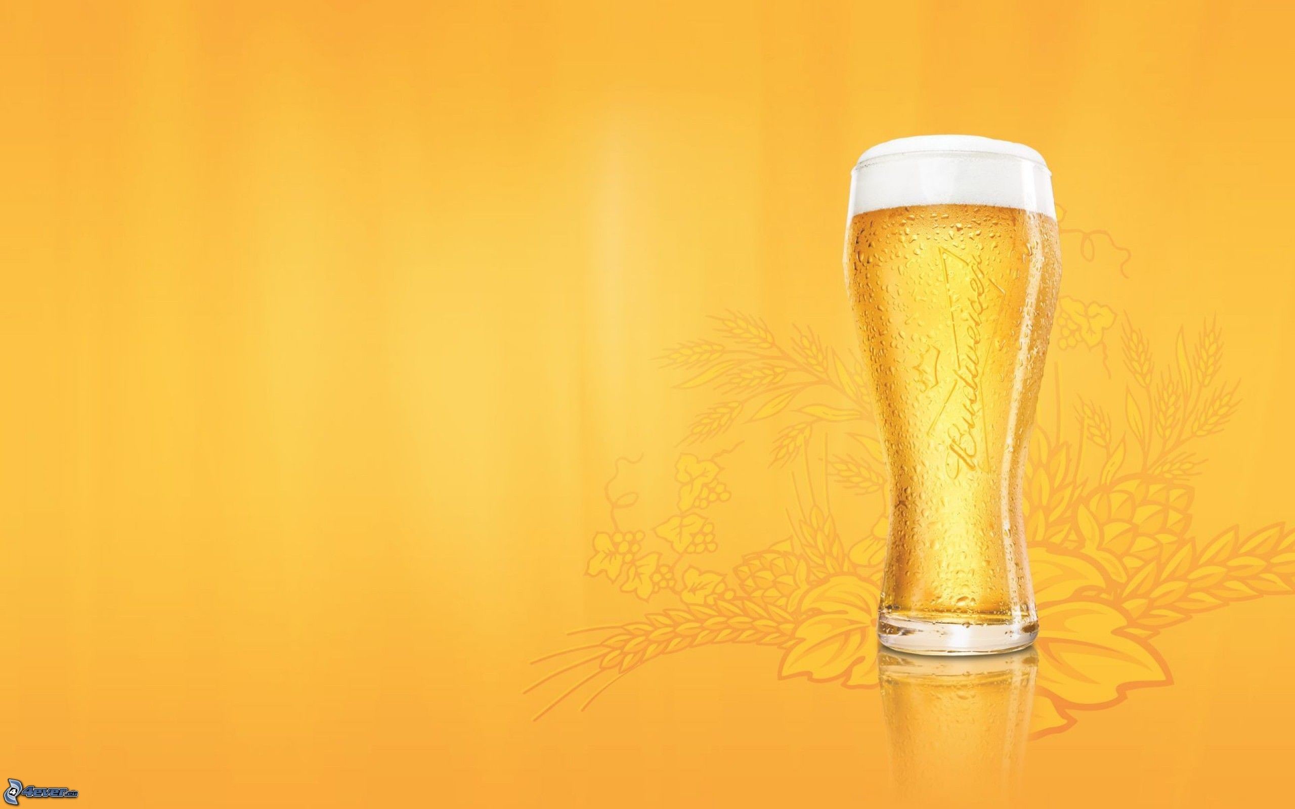 Birra, Bicchiere, Sfondo arancione, Spighe, 2560x1600, wallpaper desktop