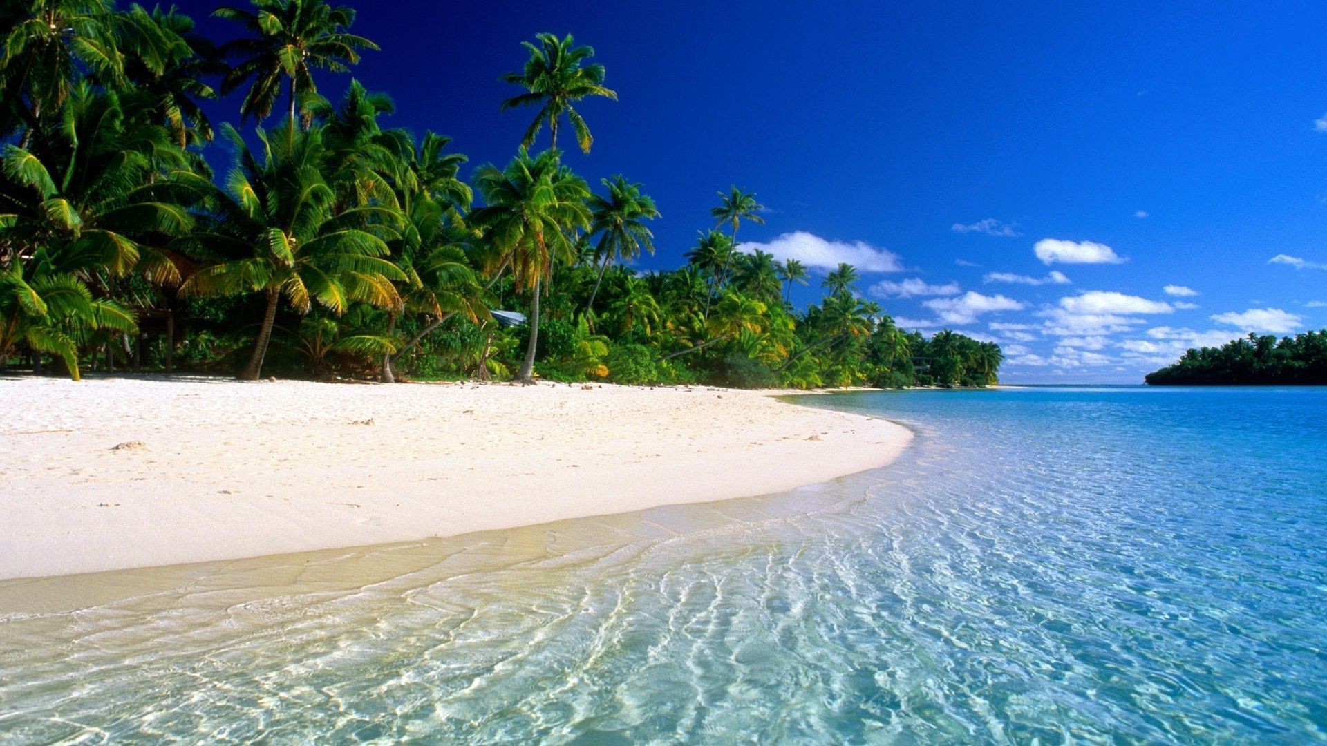 Spiaggia tropicale, Palme, Mare cristallino, 1920x1080, immagine di sfondo