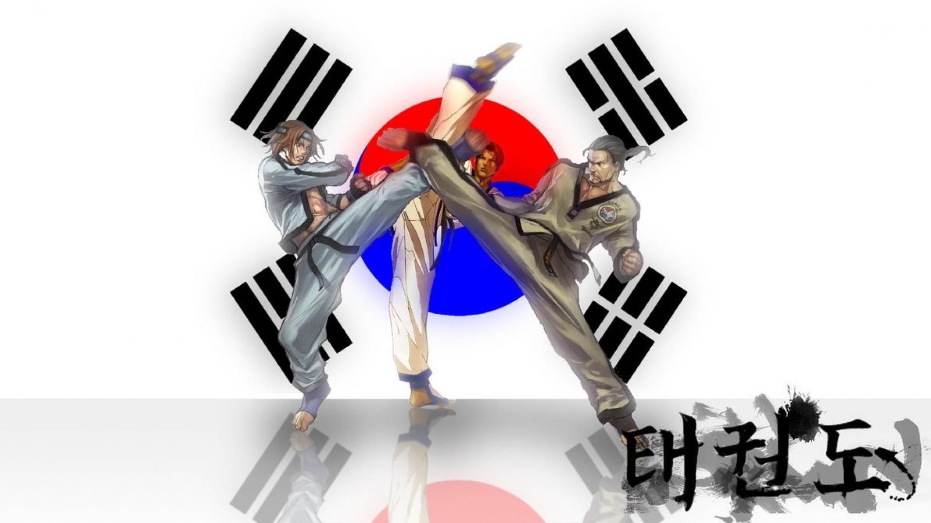 Taekwondo, Taegeukgi, Corea del Sud, 태권도, Calcio volante, 16:9 Full HD, sfondo widescreen