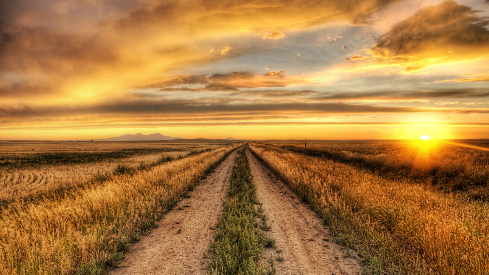 Sole, Strada sterrata, Campi, Tramonto, Full HD, sfondo per PC