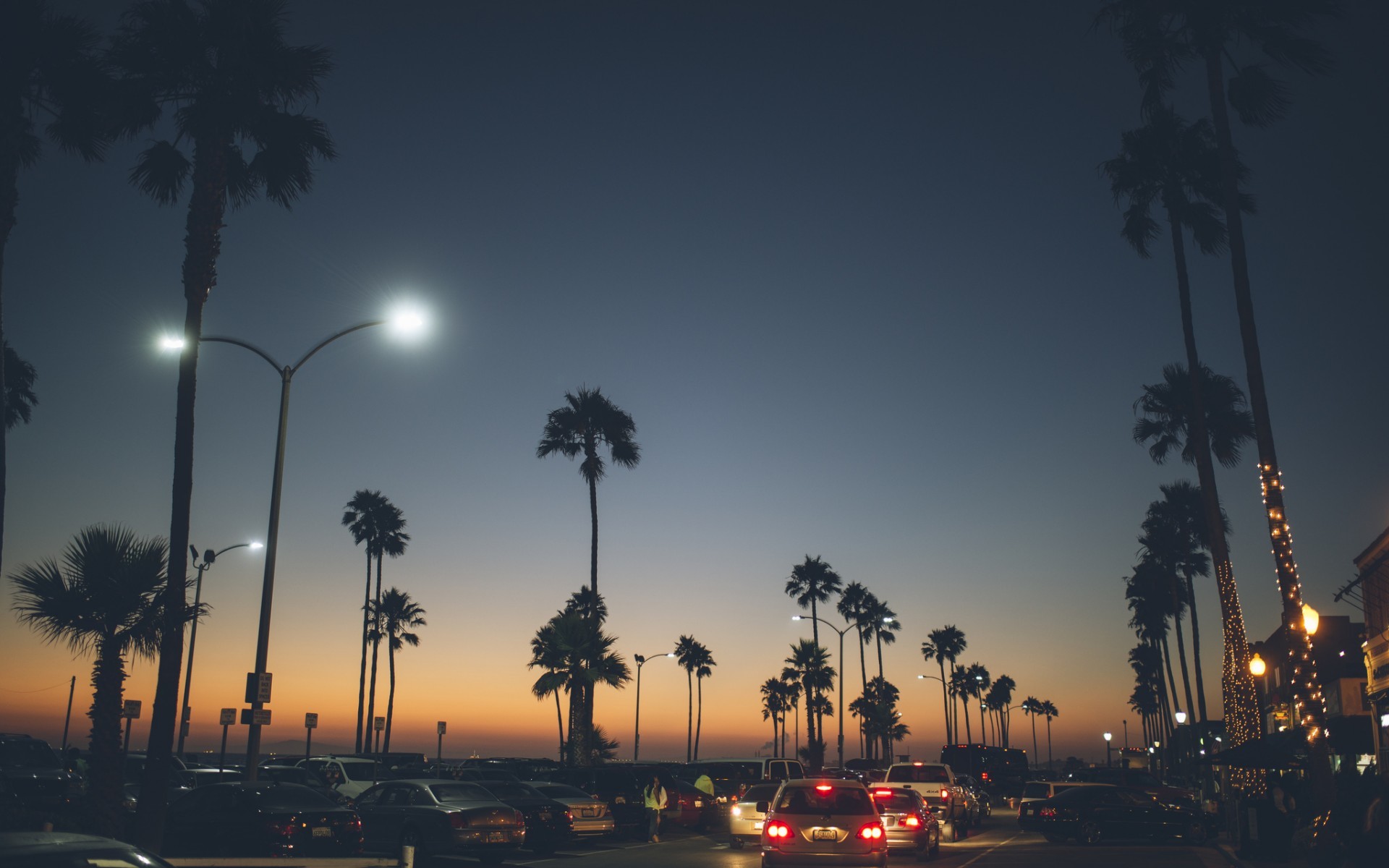 Palme, Los Angeles, Crepuscolo, Lampioni, Strada, 16:10 Full HD, wallpaper widescreen
