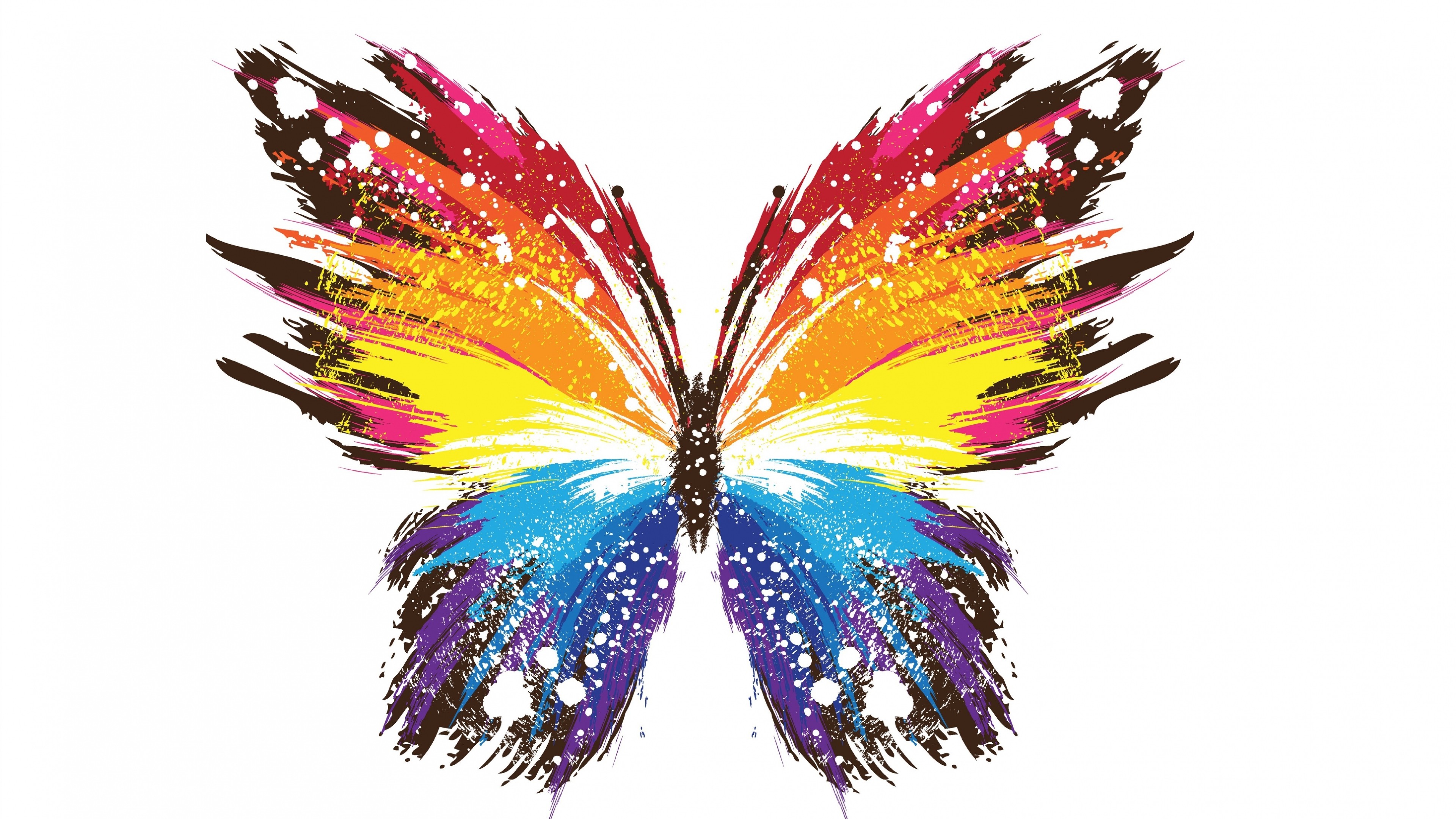Farfalla, Spruzzi di colore, Arcobaleno, Sfondo bianco, 4K, wallpaper per portatile
