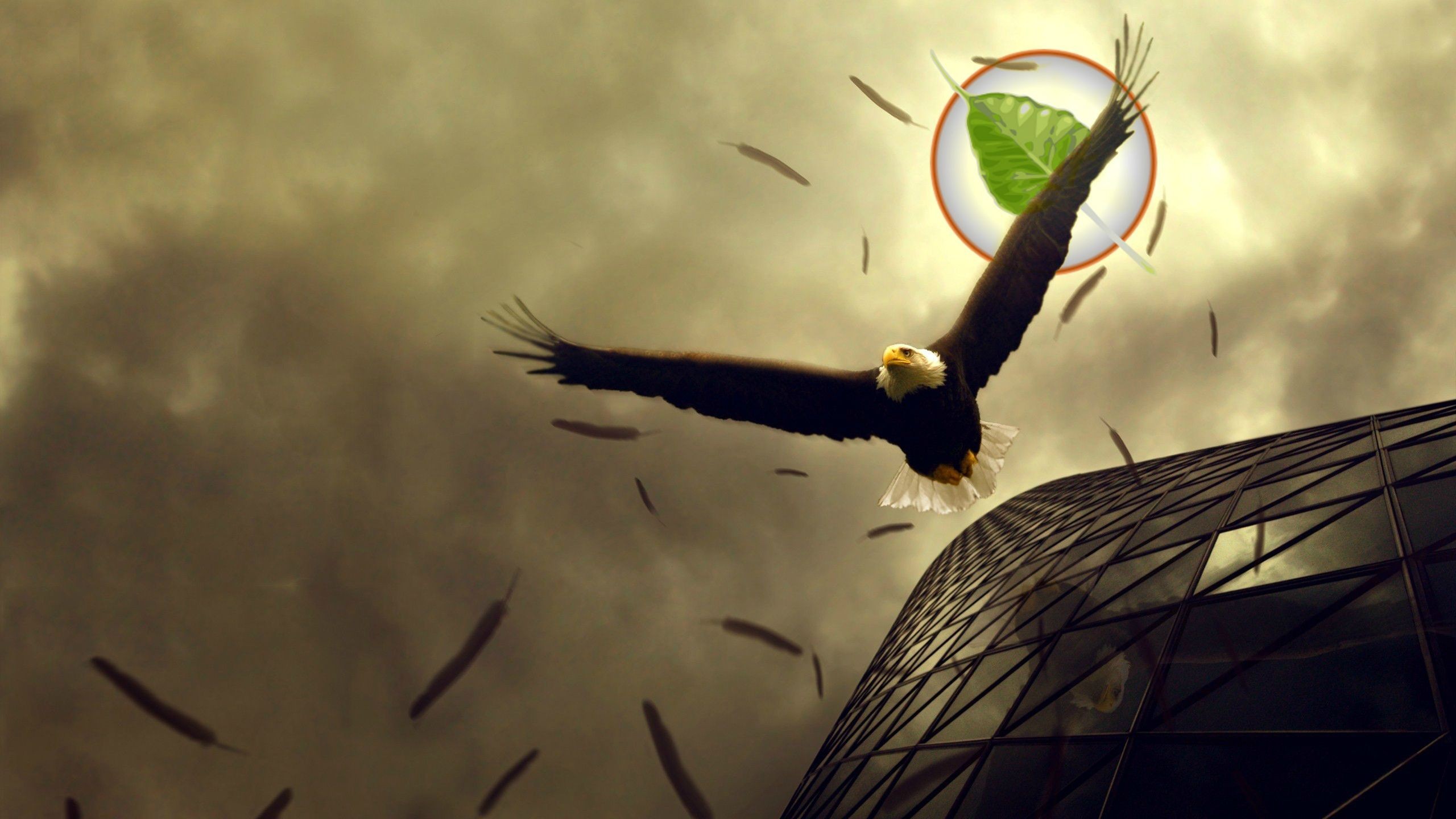 Aquila calva, Volo, Foglia, Arte surreale, Cielo tempestoso, 2560x1440, sfondo per PC