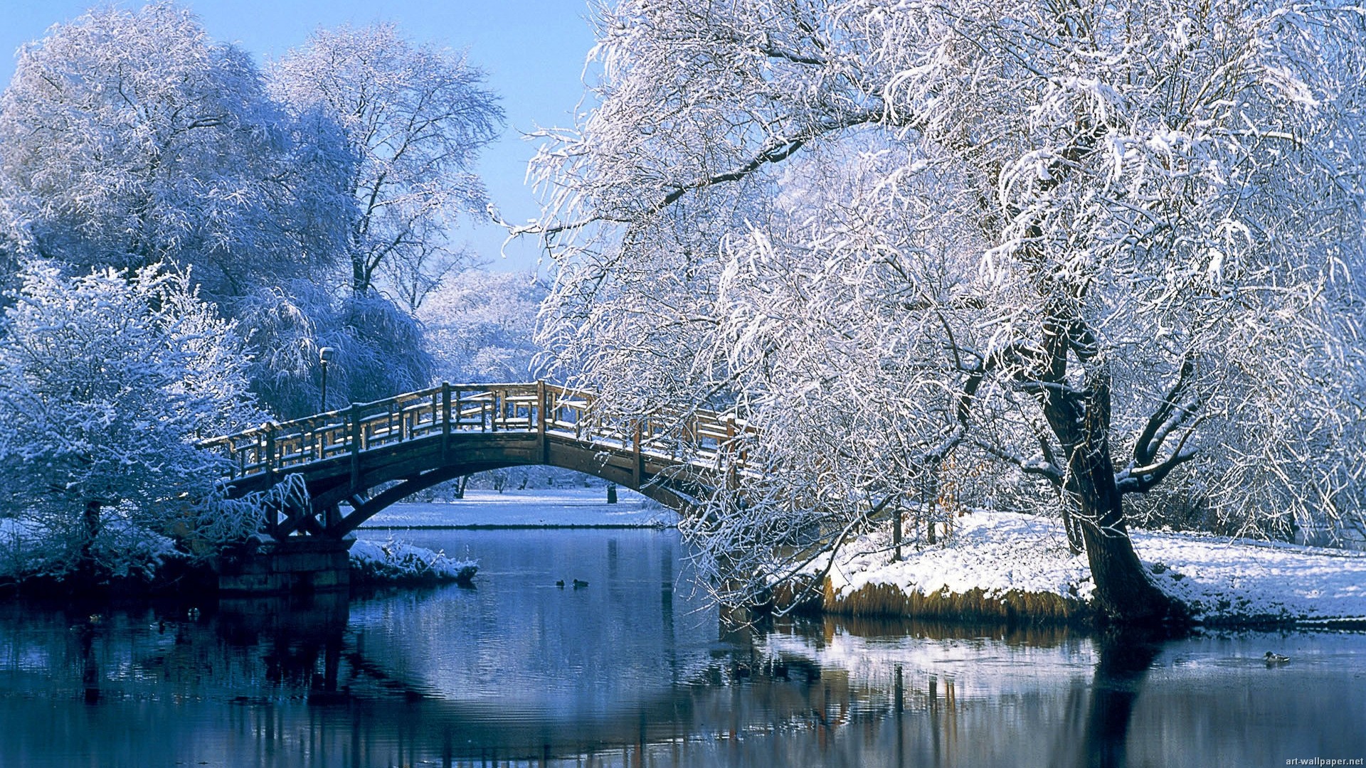 Ponte, Inverno, Neve, Alberi innevati, Lago, Full HD, wallpaper per desktop