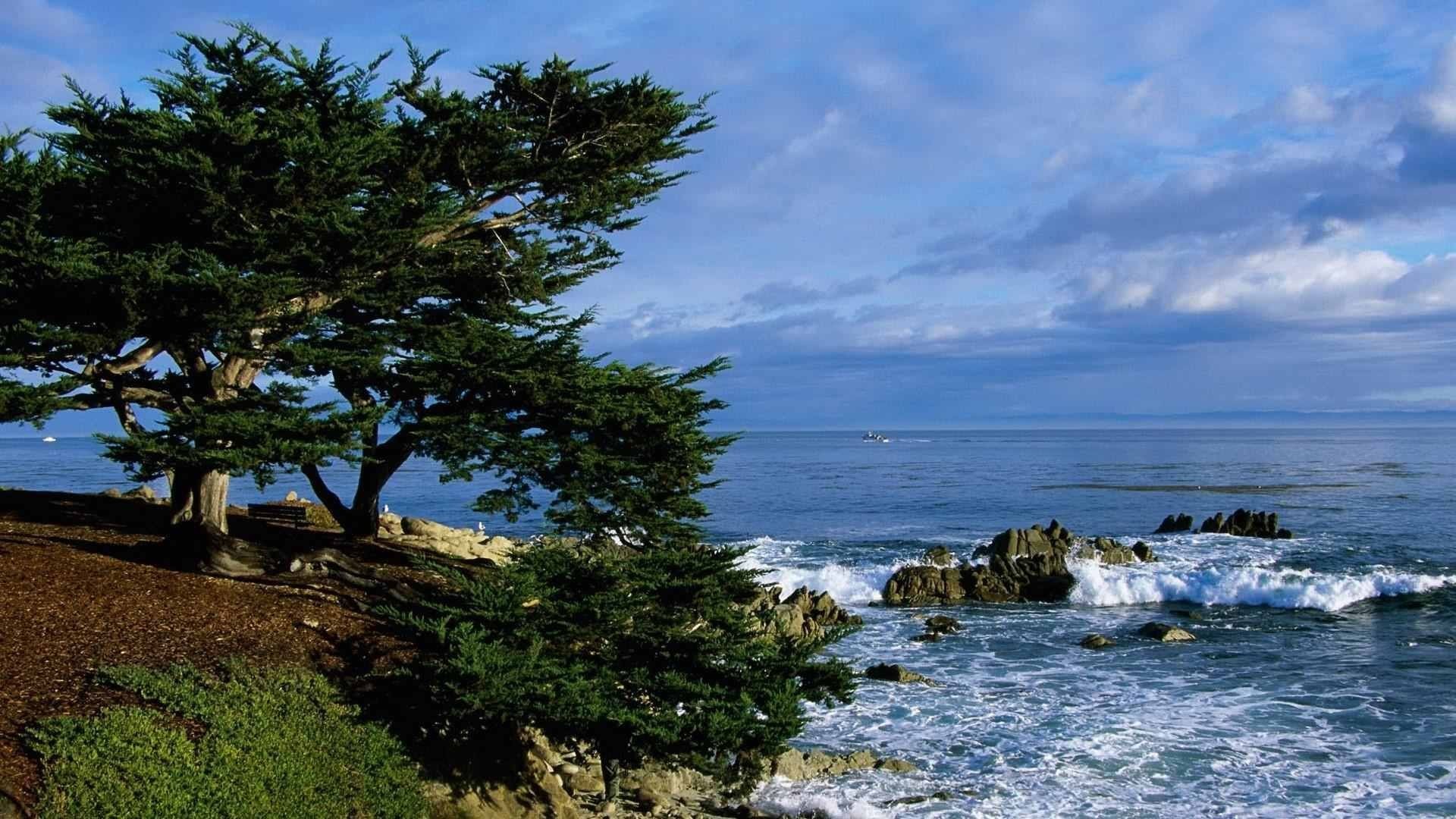 Cipresso di Monterey, Pebble Beach, California, Costa, Onde, 1920x1080, sfondo per PC