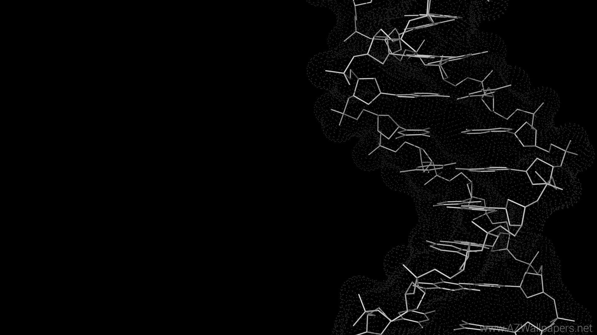 DNA, Struttura molecolare, Sfondo nero, Full HD, wallpaper per portatile