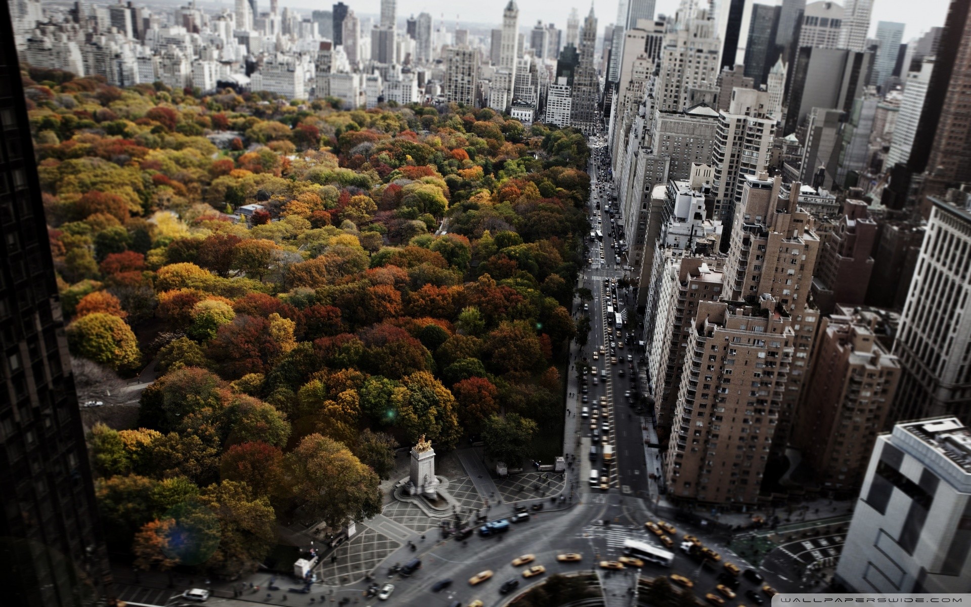 Central Park, Autunno, Manhattan, Vista aerea, Full HD, sfondo per portatile