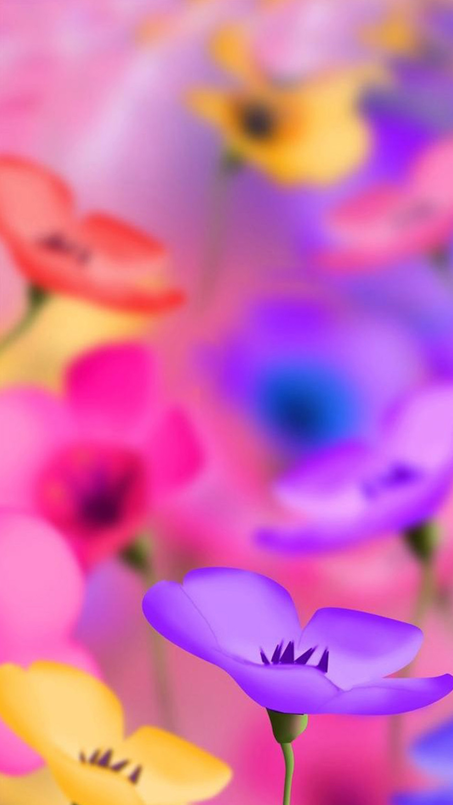 Fiori, Rosa, Viola, Bokeh, sfondo Galaxy S6 QHD+